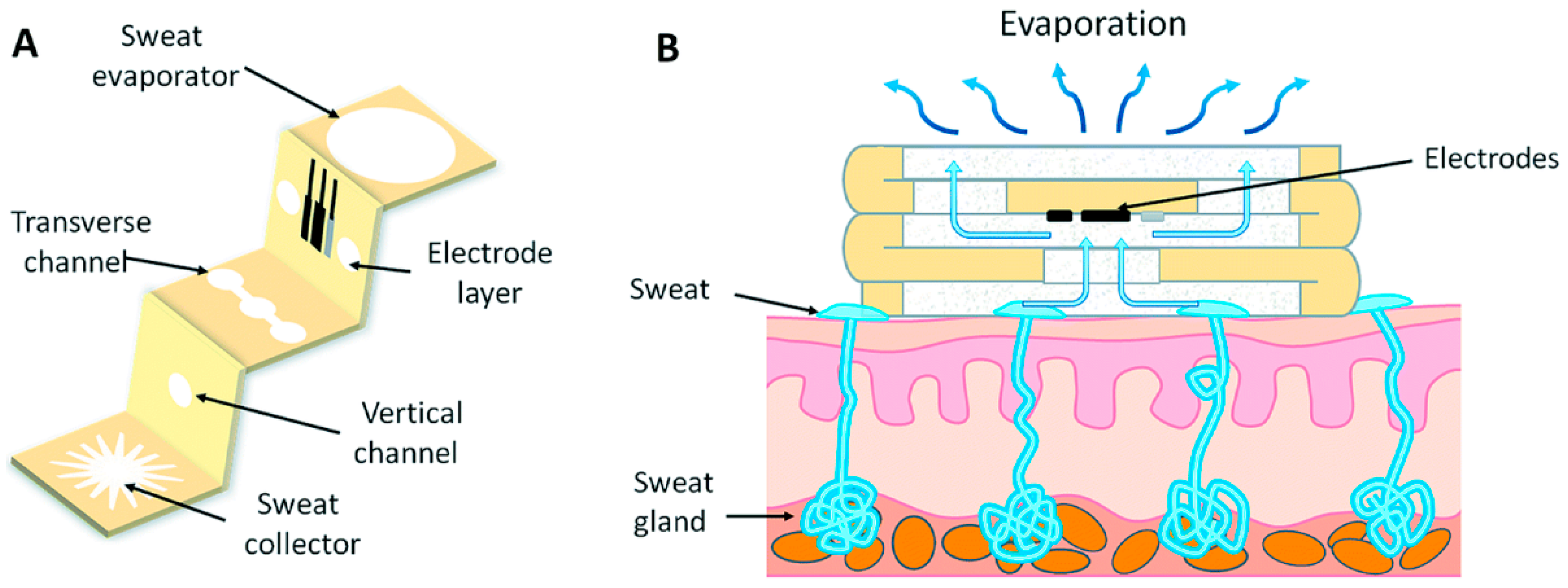 Electrochem 05 00010 g004