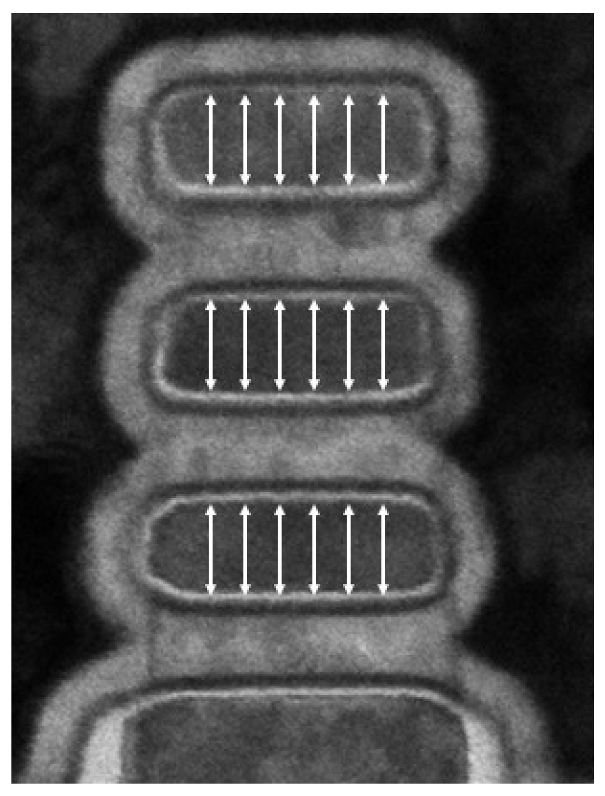 Electronics 11 03589 g005 Electronics 11 03589 g005