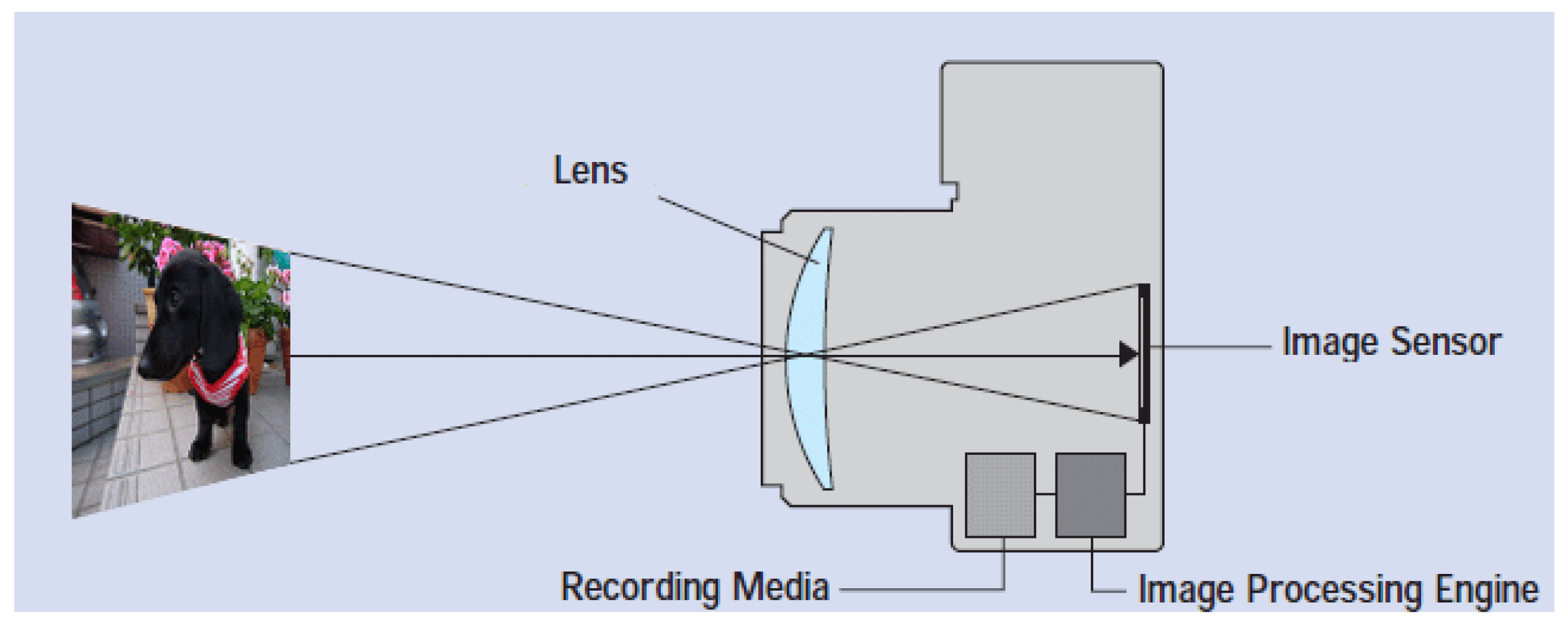 Electronics 12 02330 g001