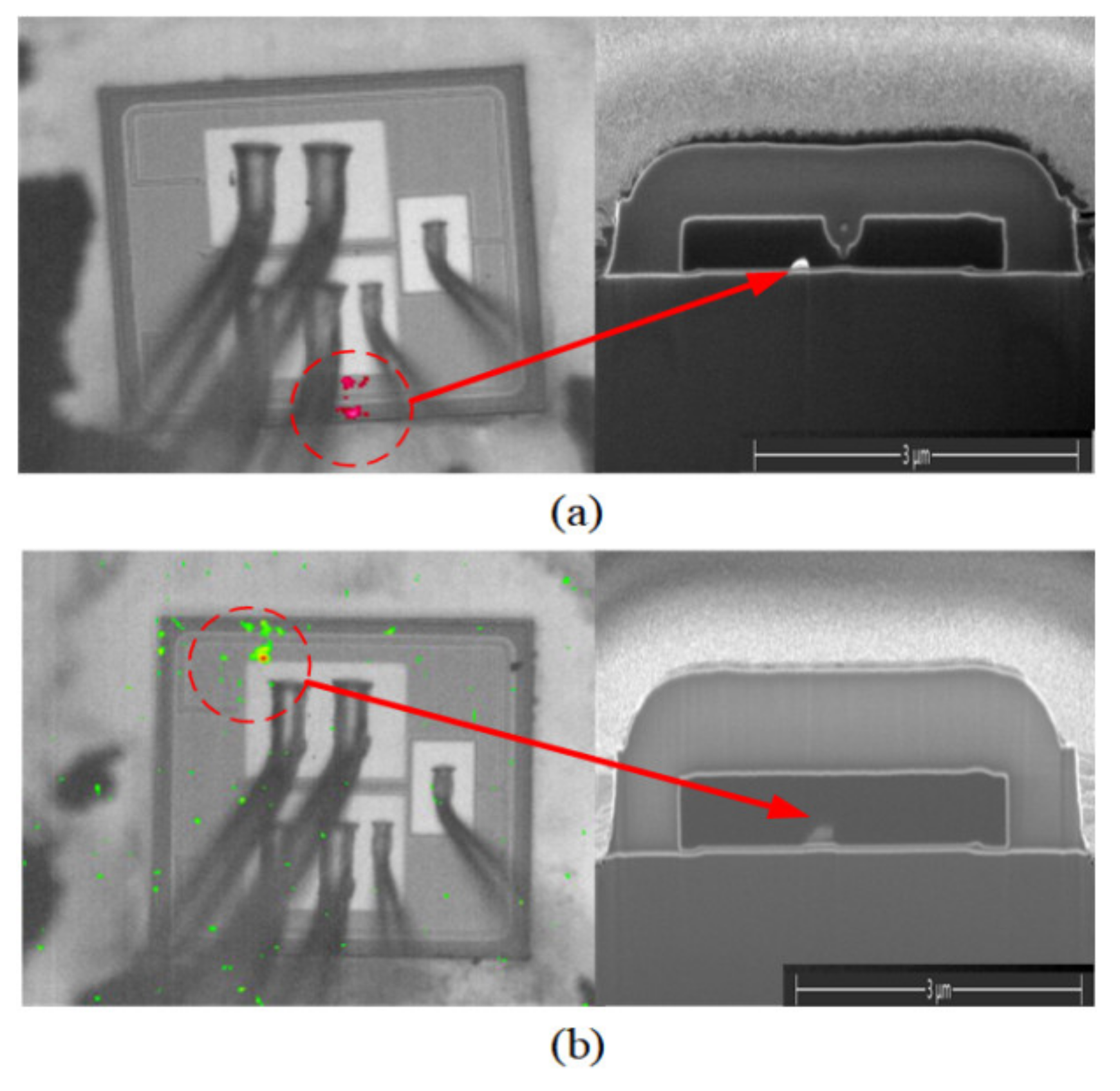 Electronics 12 02551 g012