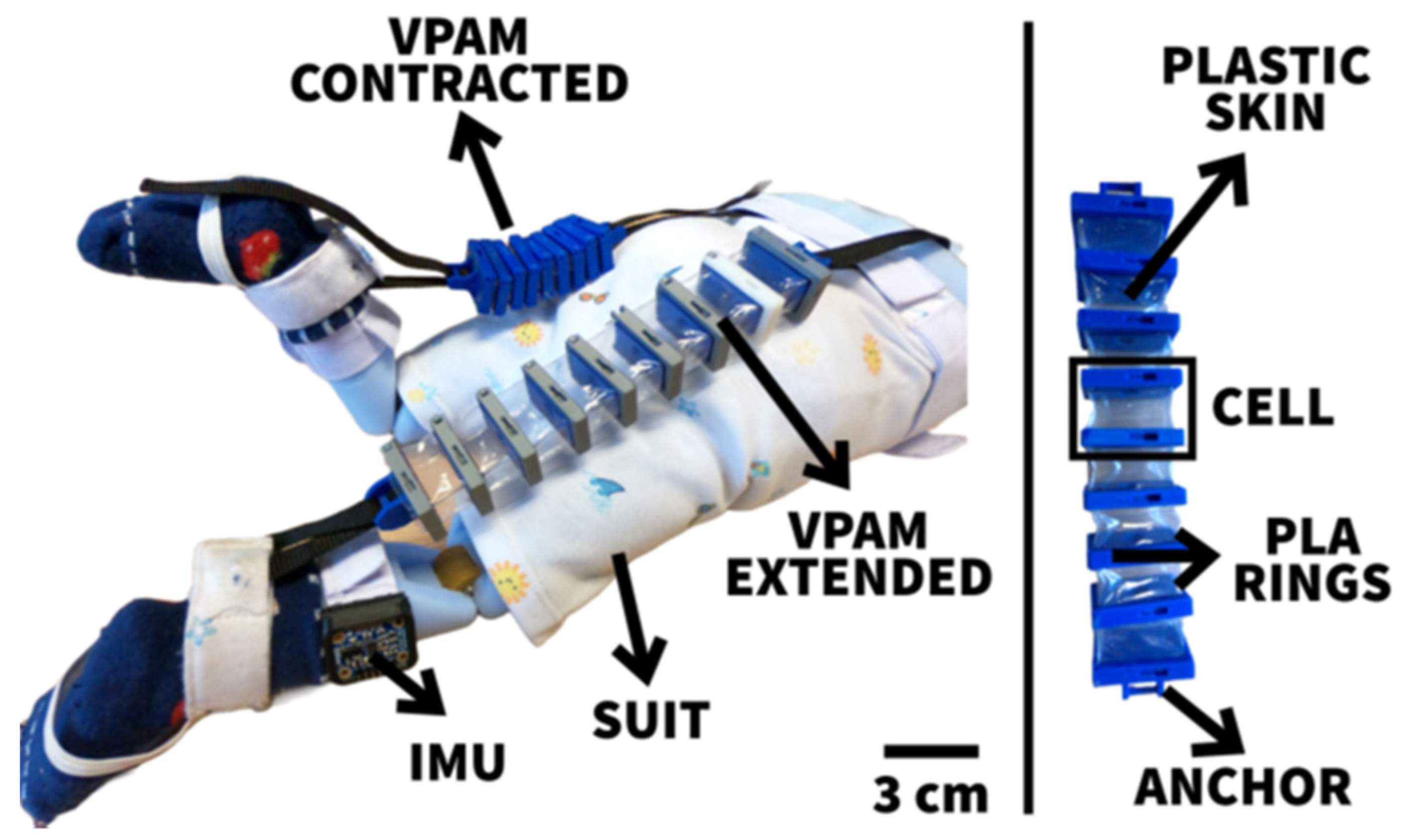Electronics 12 03694 g005