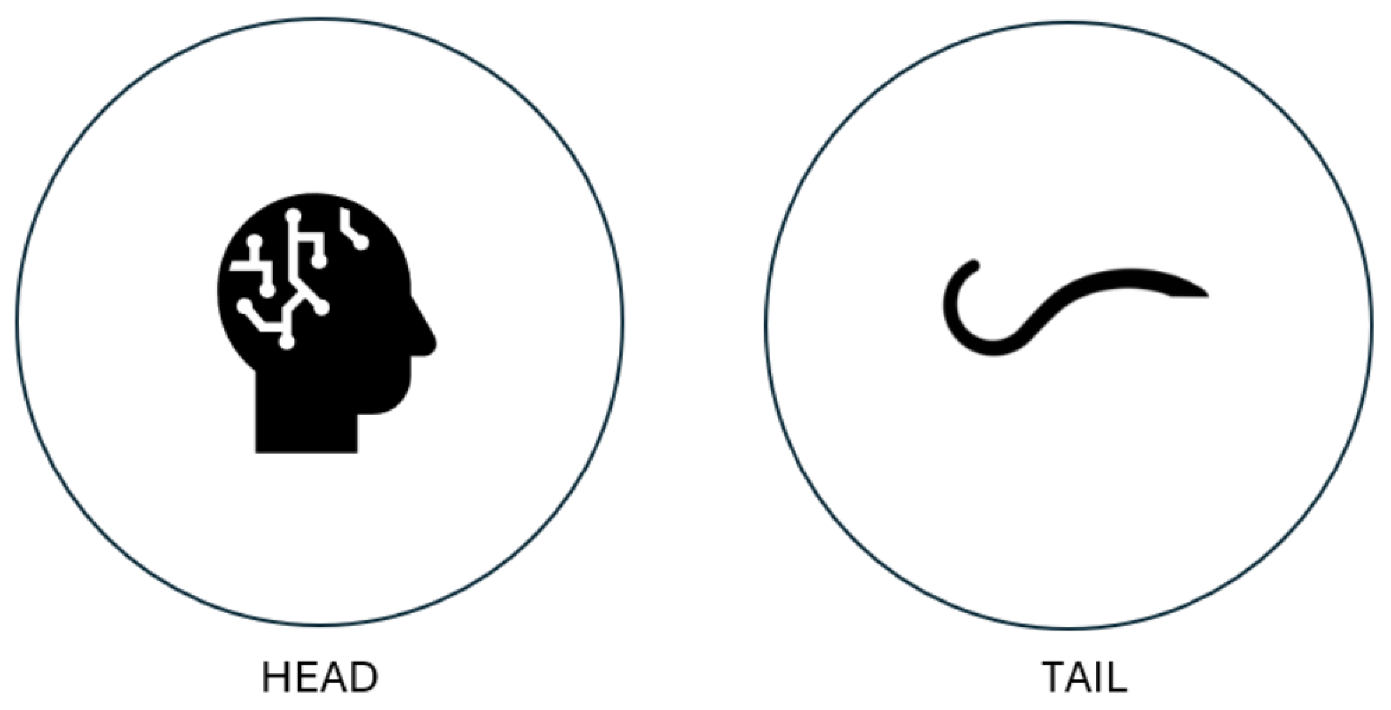 Encyclopedia 04 00040 g003