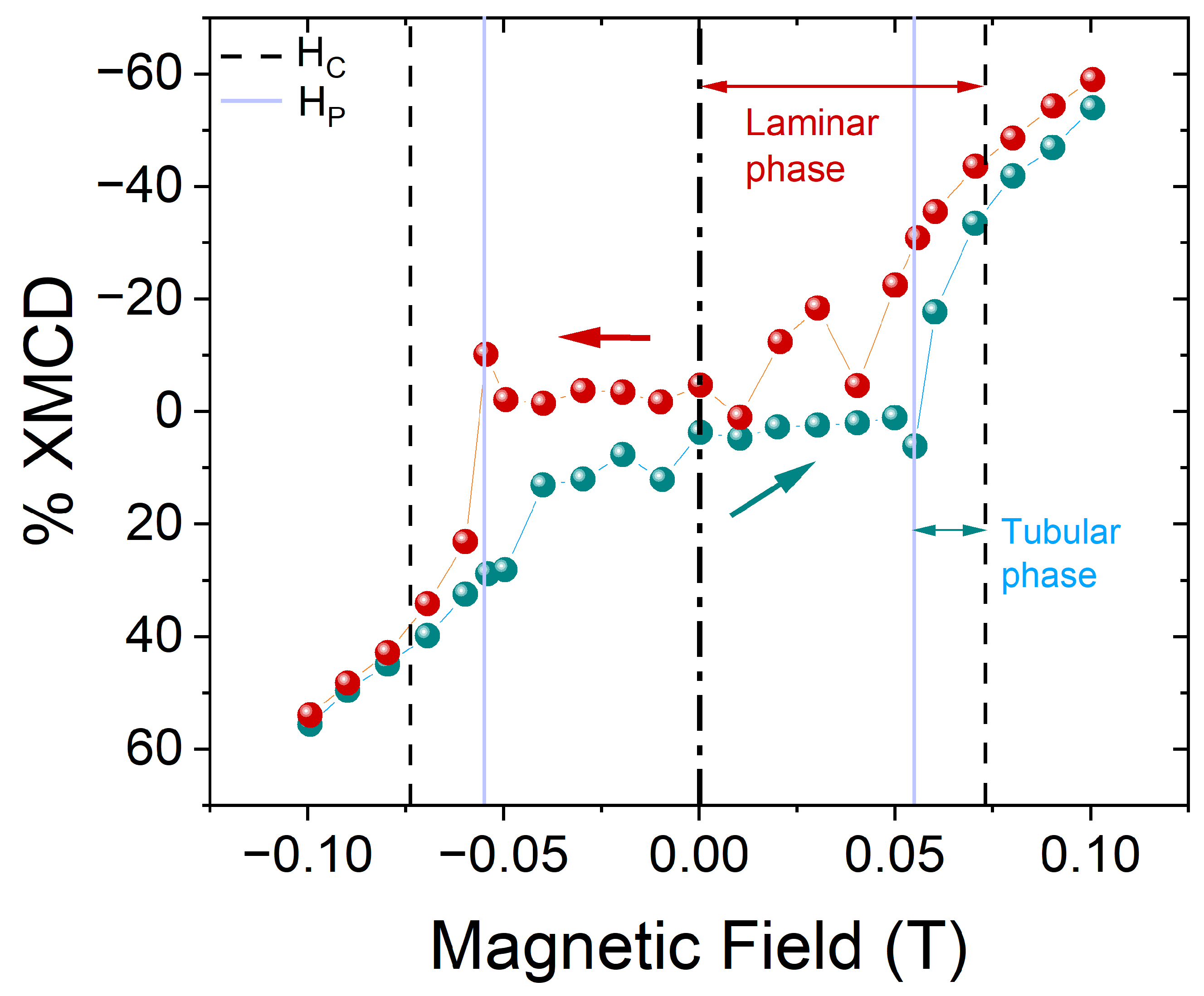 Encyclopedia 04 00040 g010