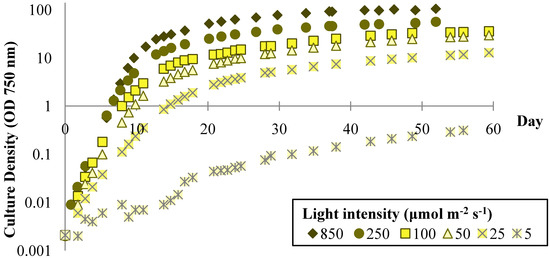 Effects of Light and Temperature on Fatty Acid Production in Nannochloropsis Salina Effects of Light and Temperature on Fatty Acid Production in Nannochloropsis Salina