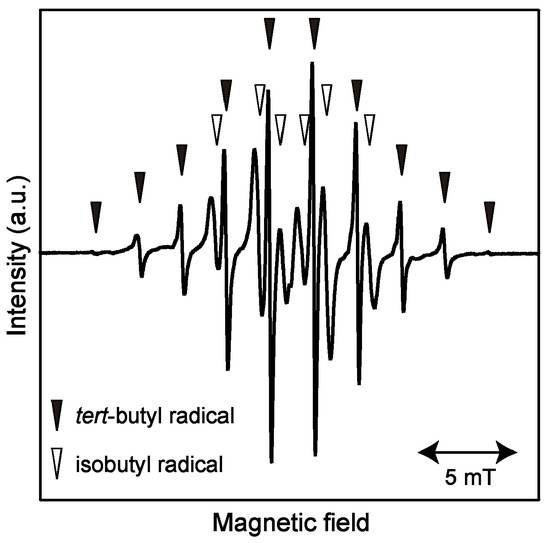 Intermolecular Hydrogen Transfer in Isobutane Hydrate Intermolecular Hydrogen Transfer in Isobutane Hydrate