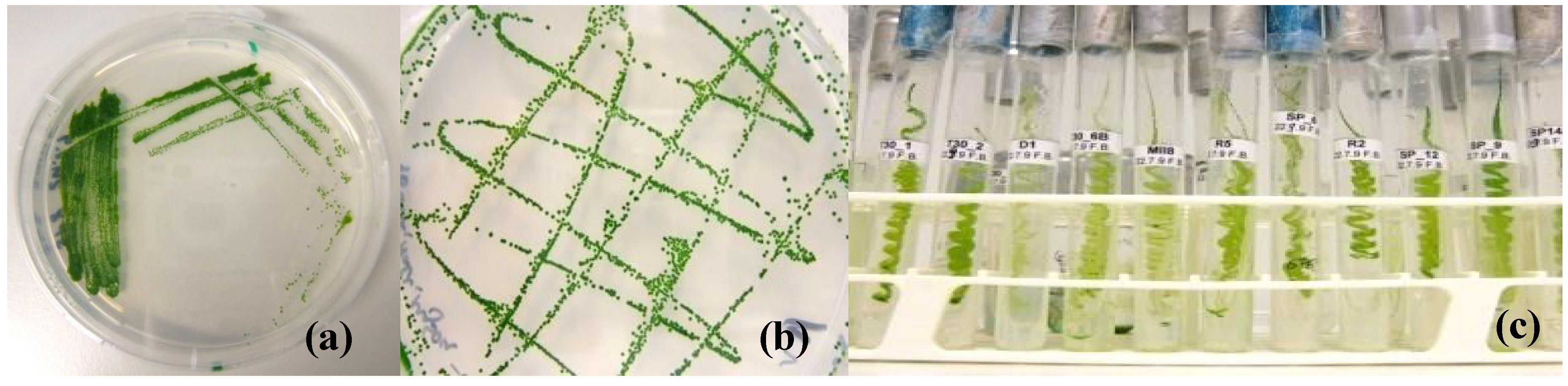 Energies 07 07847 g003