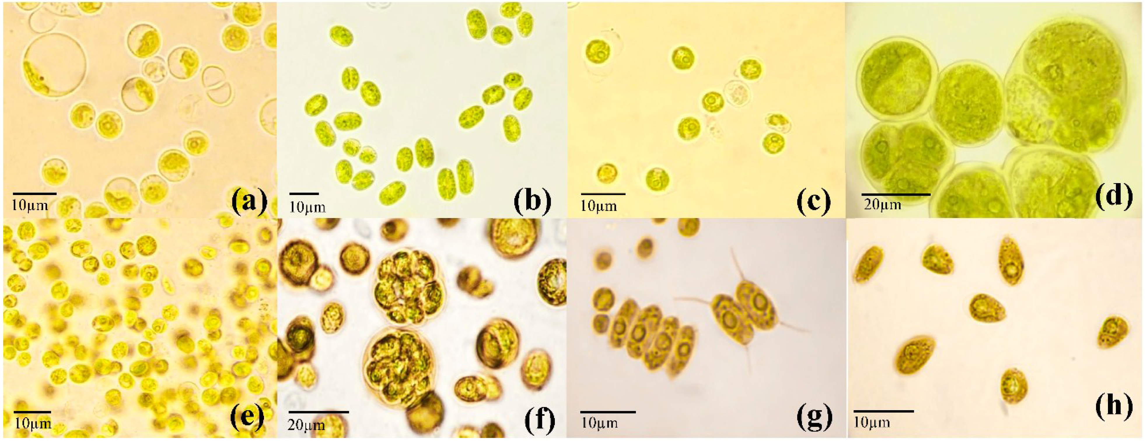 Energies 07 07847 g004