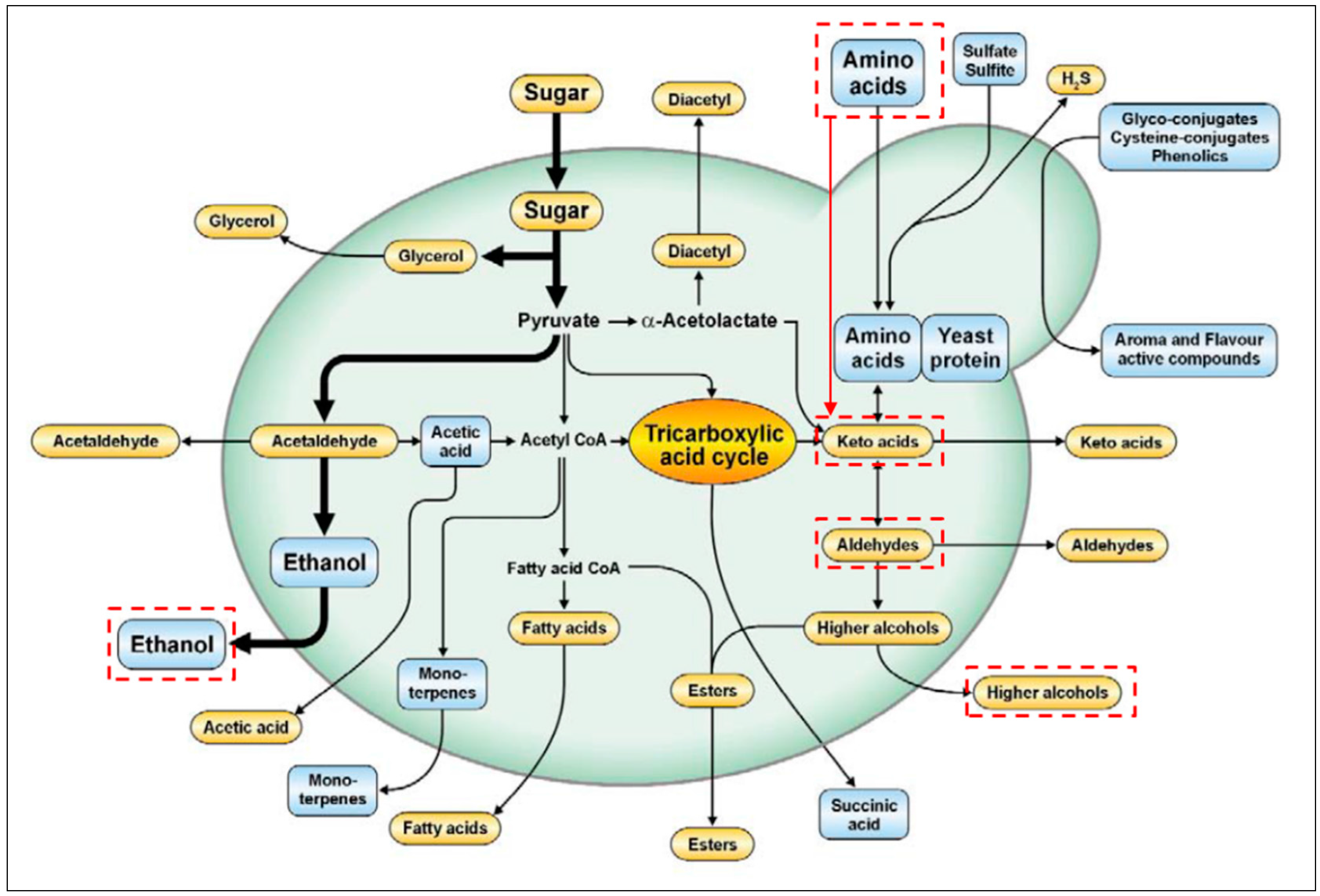 Energies 10 02110 g007
