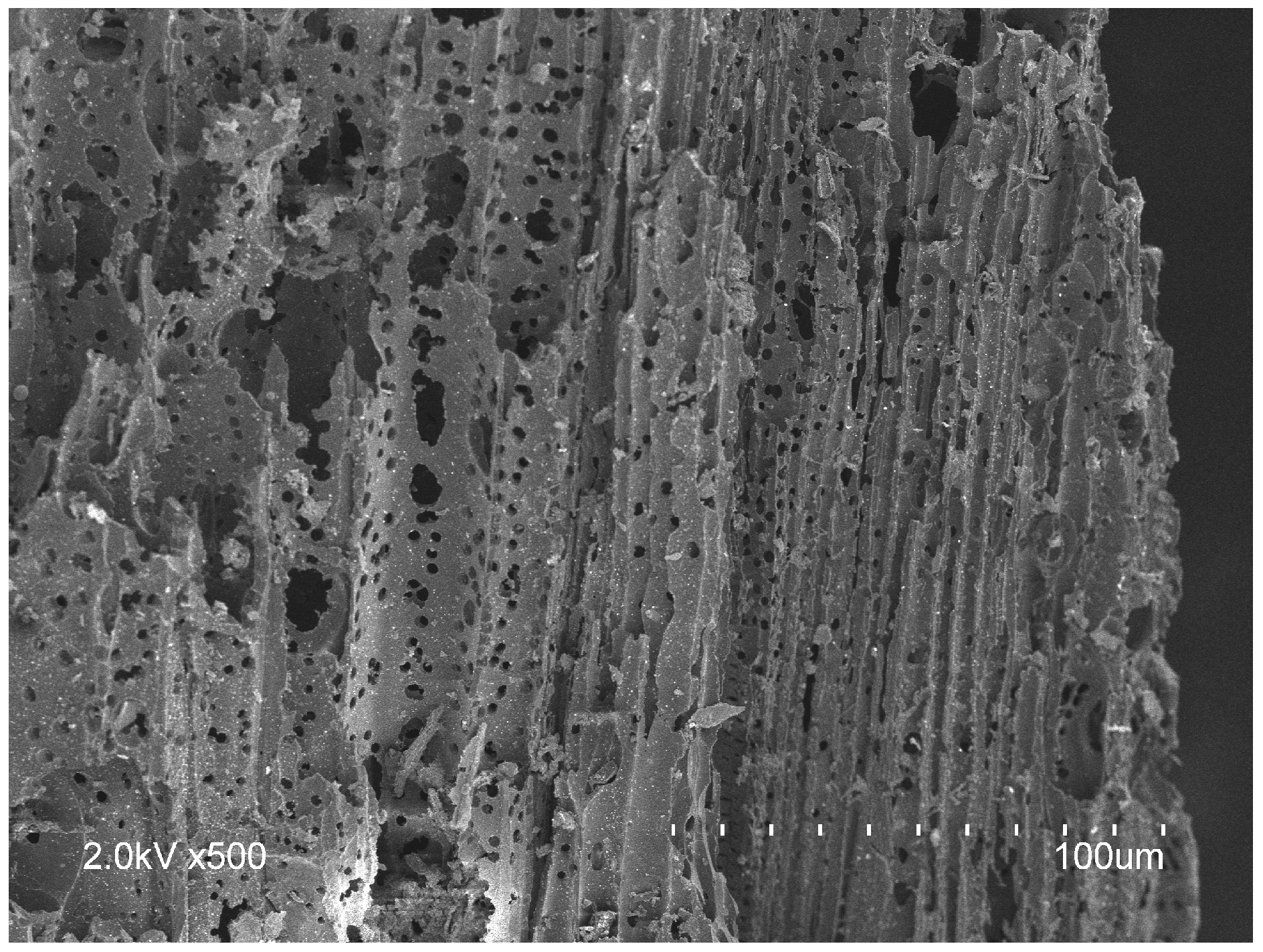 Energies 11 03225 g011