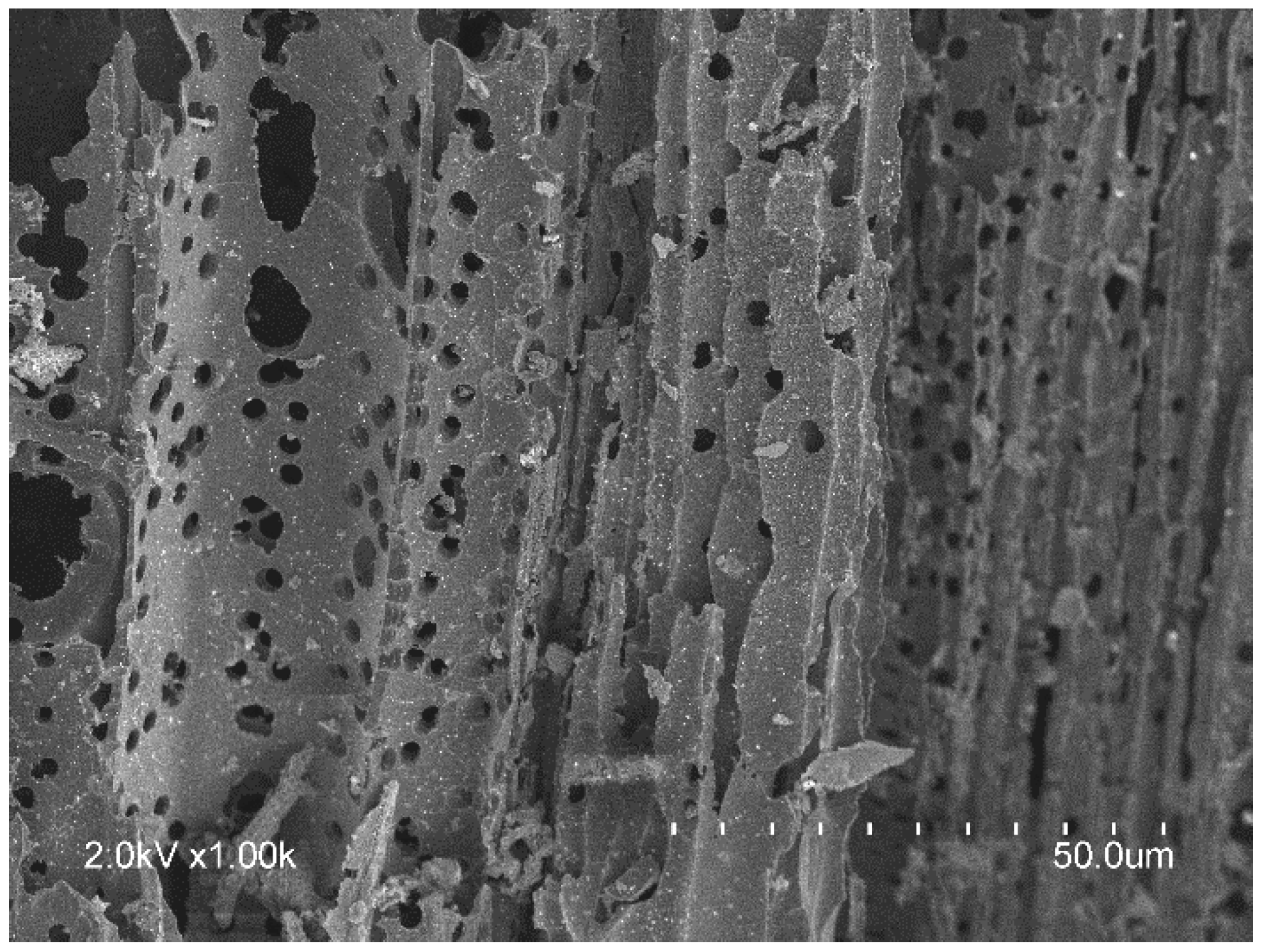 Energies 11 03225 g012