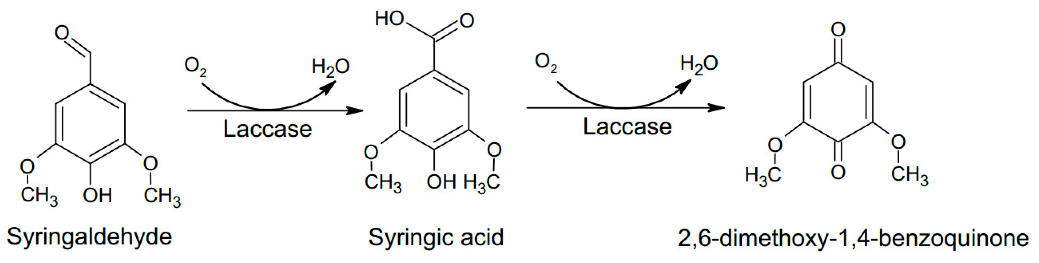 Energies 11 03455 g005