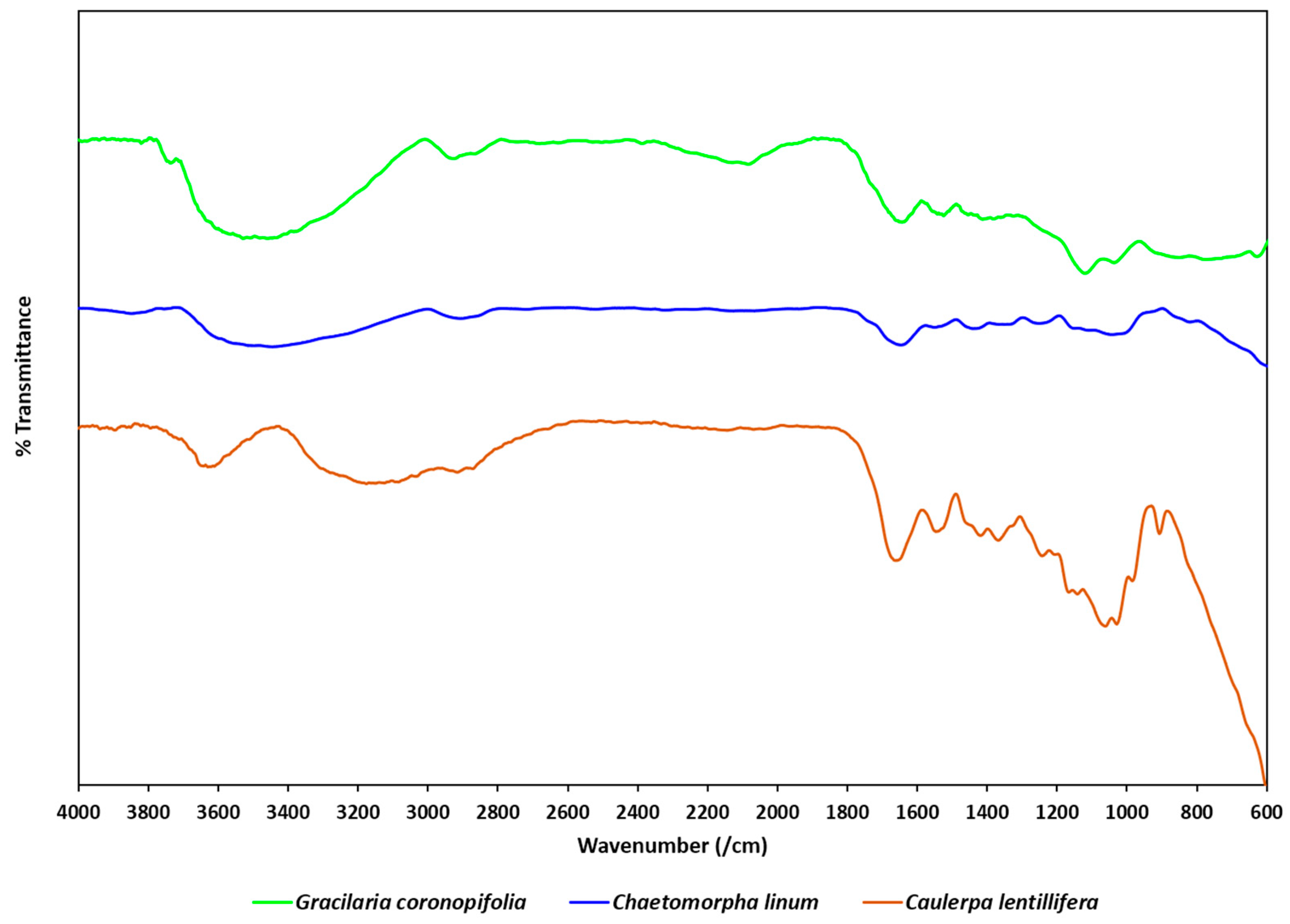 Energies 12 03509 g004