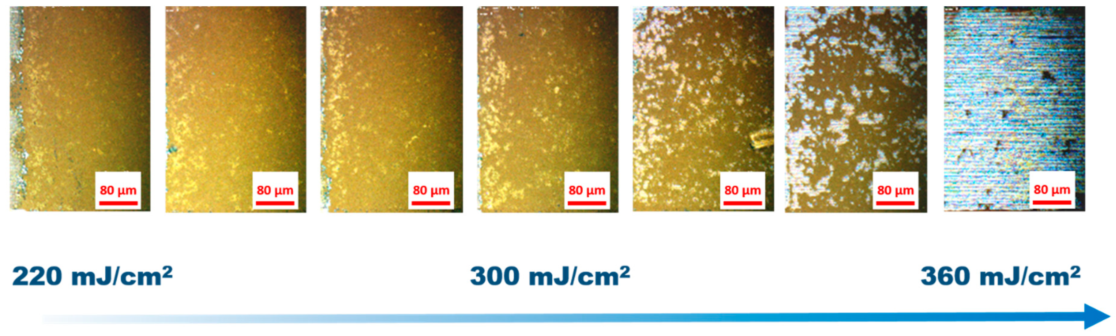 Energies 14 01069 g003