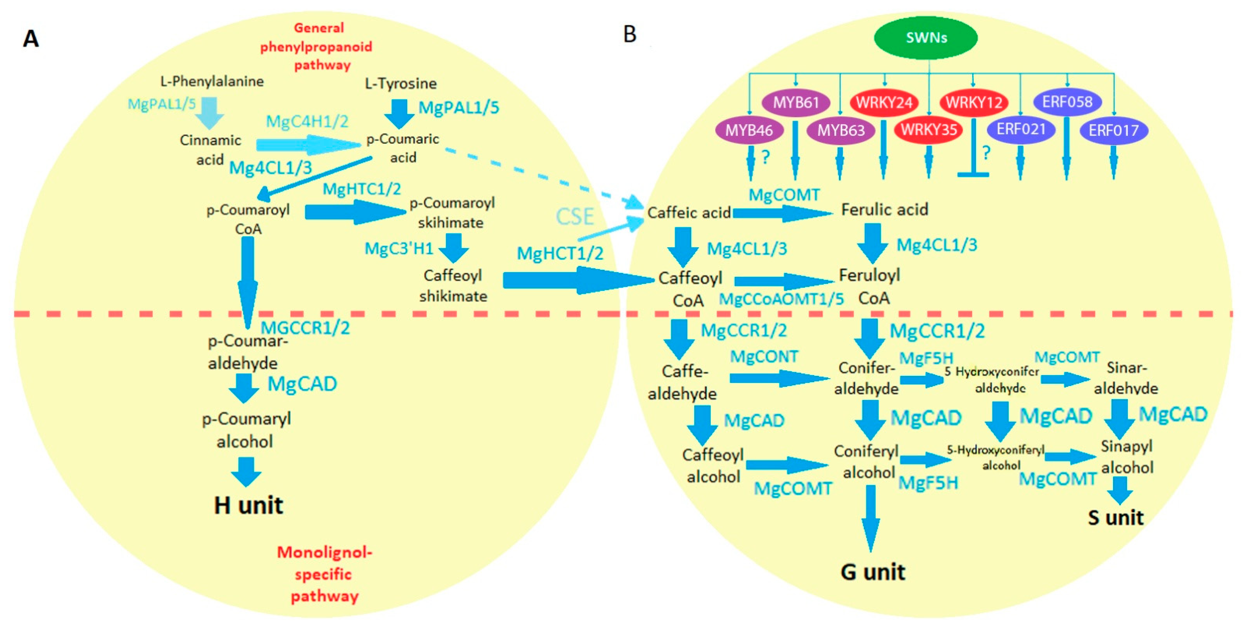 Energies 15 04941 g001