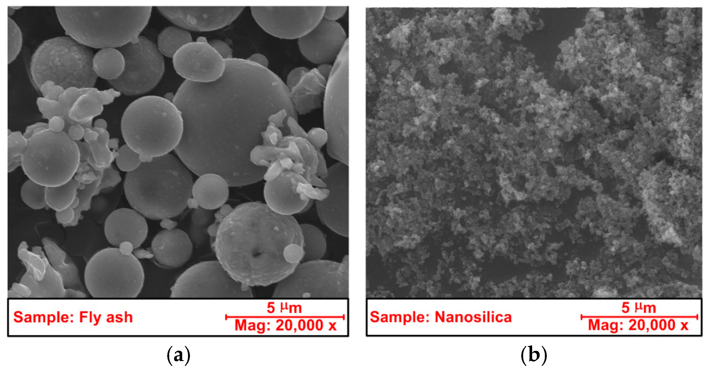 Combined Effect Of Coal Fly Ash CFA And Nanosilica NS On The