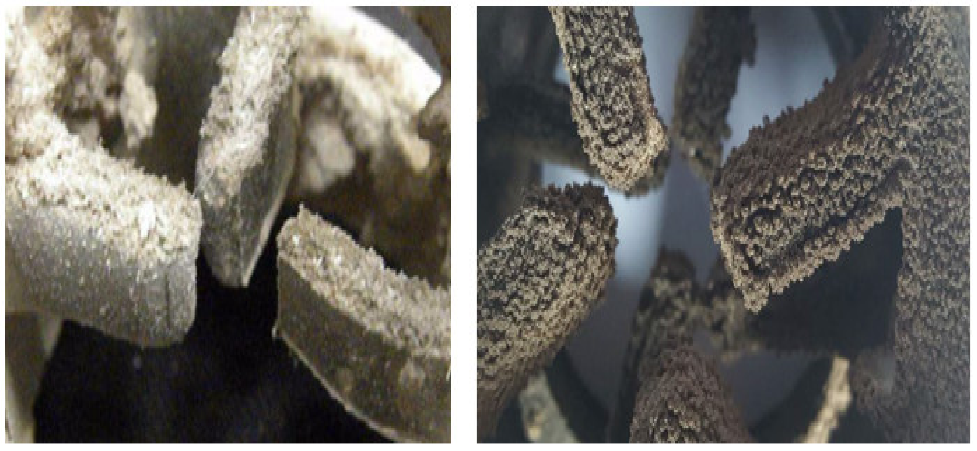 Energies 16 01388 g012