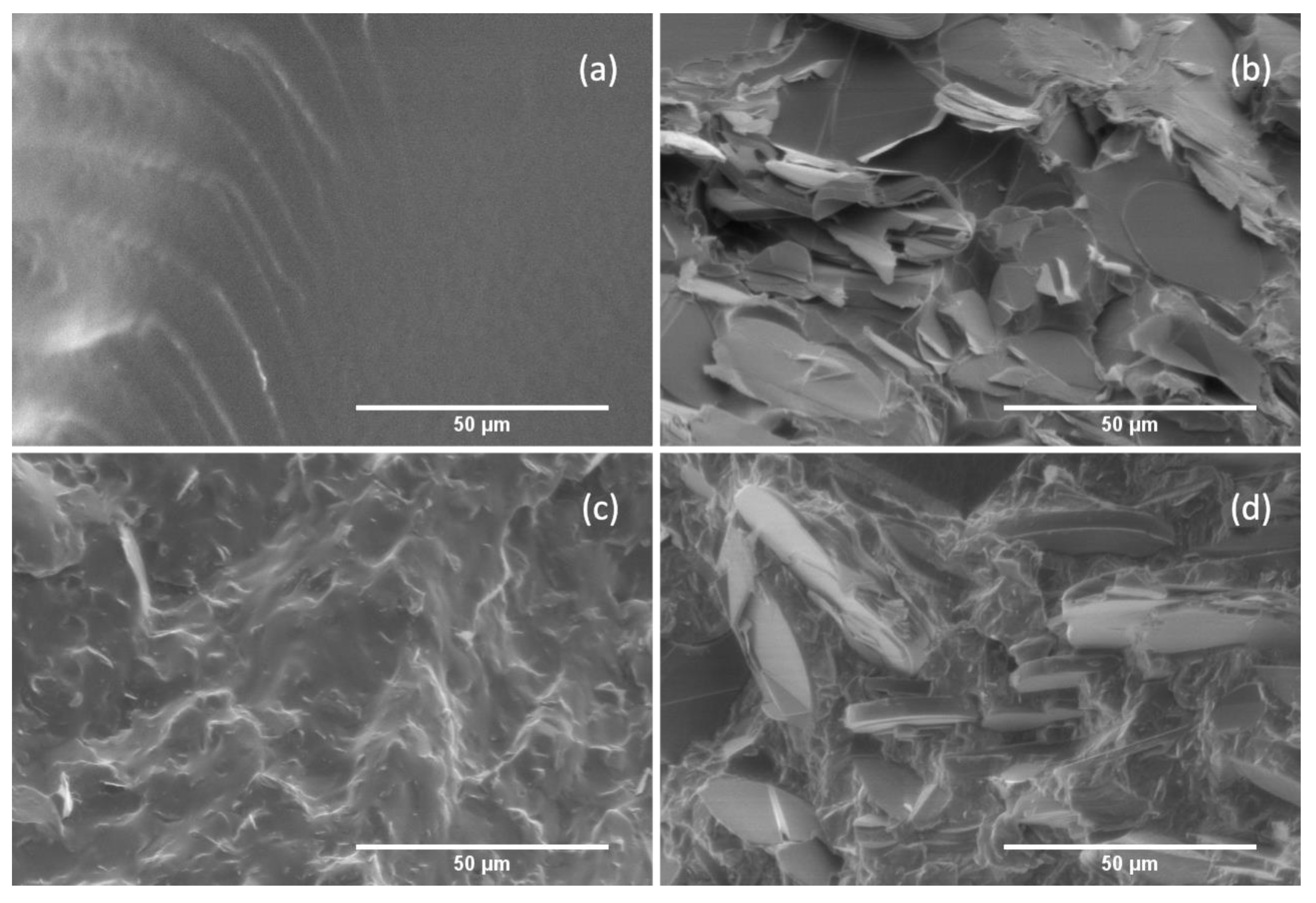 Energies 16 02522 g010