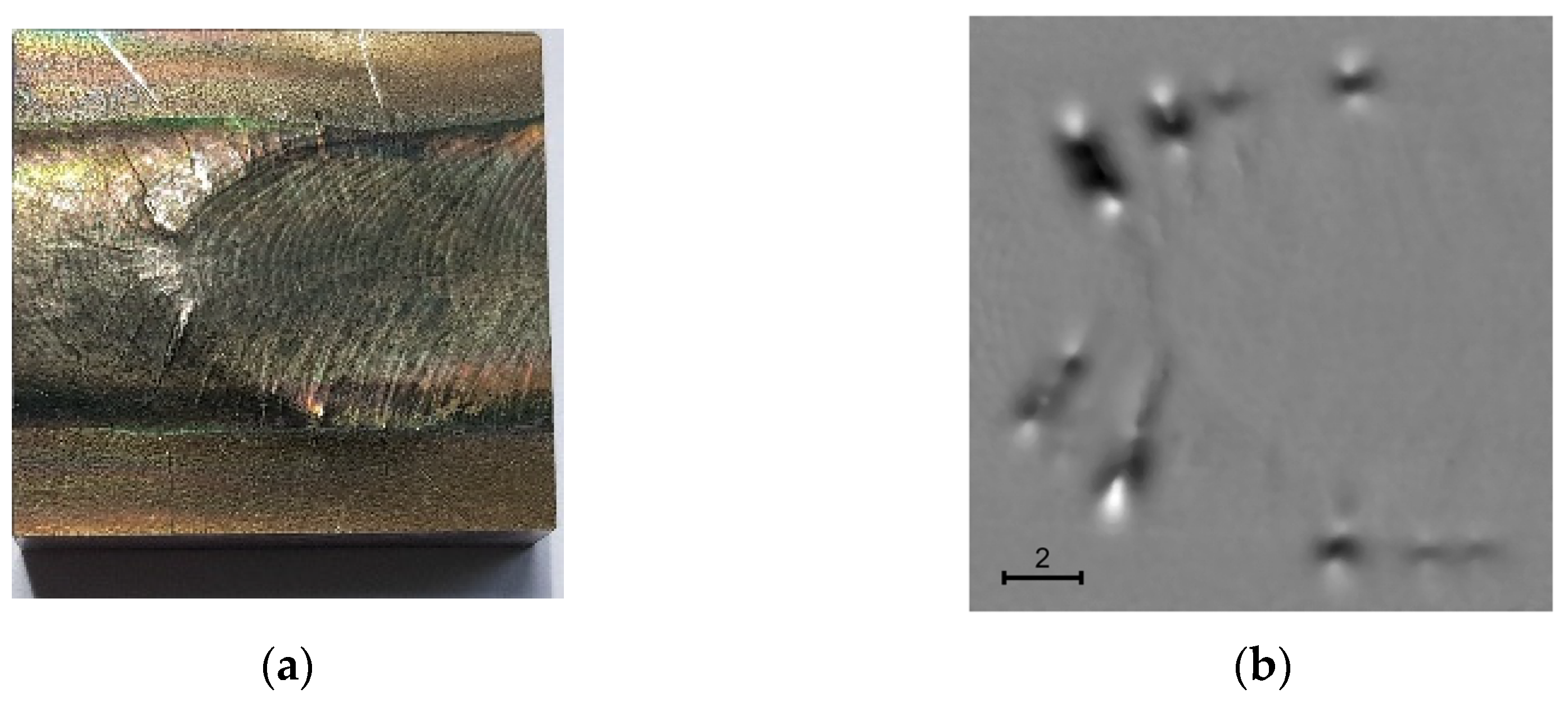 Engproc 51 00036 g002