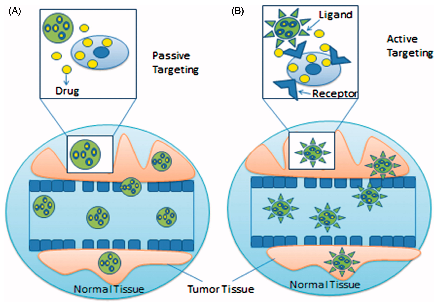 Engproc 56 00027 g002