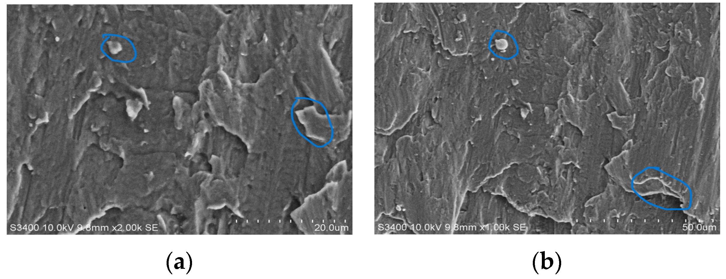 Engproc 59 00053 g013