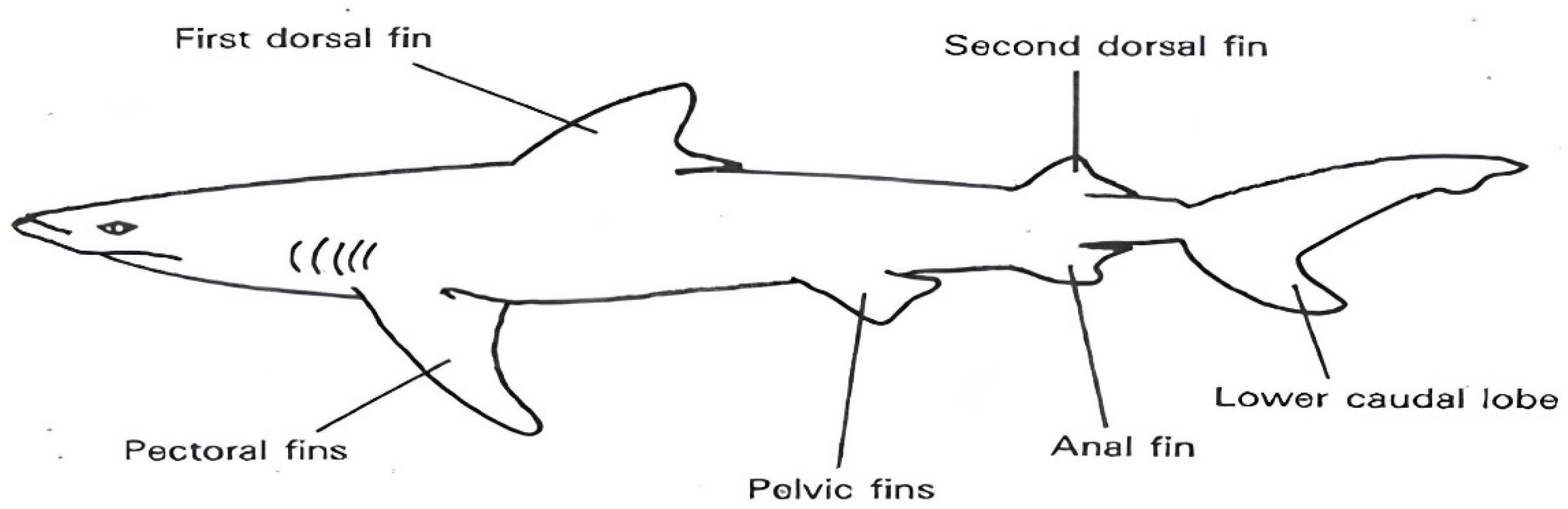 Engproc 59 00221 g001