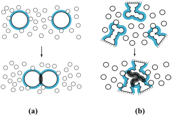 Application of Hydration Thermodynamics to the Evaluation of Protein Structures and Protein-Ligand Binding Application of Hydration Thermodynamics to the Evaluation of Protein Structures and Protein-Ligand Binding