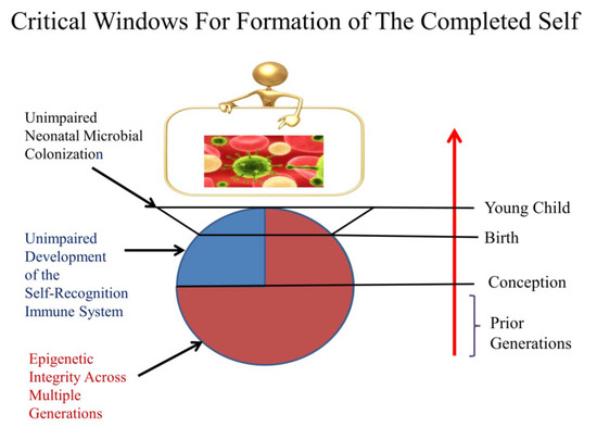 The Completed Self: An Immunological View of the Human-Microbiome Superorganism and Risk of Chronic Diseases The Completed Self: An Immunological View of the Human-Microbiome Superorganism and Risk of Chronic Diseases