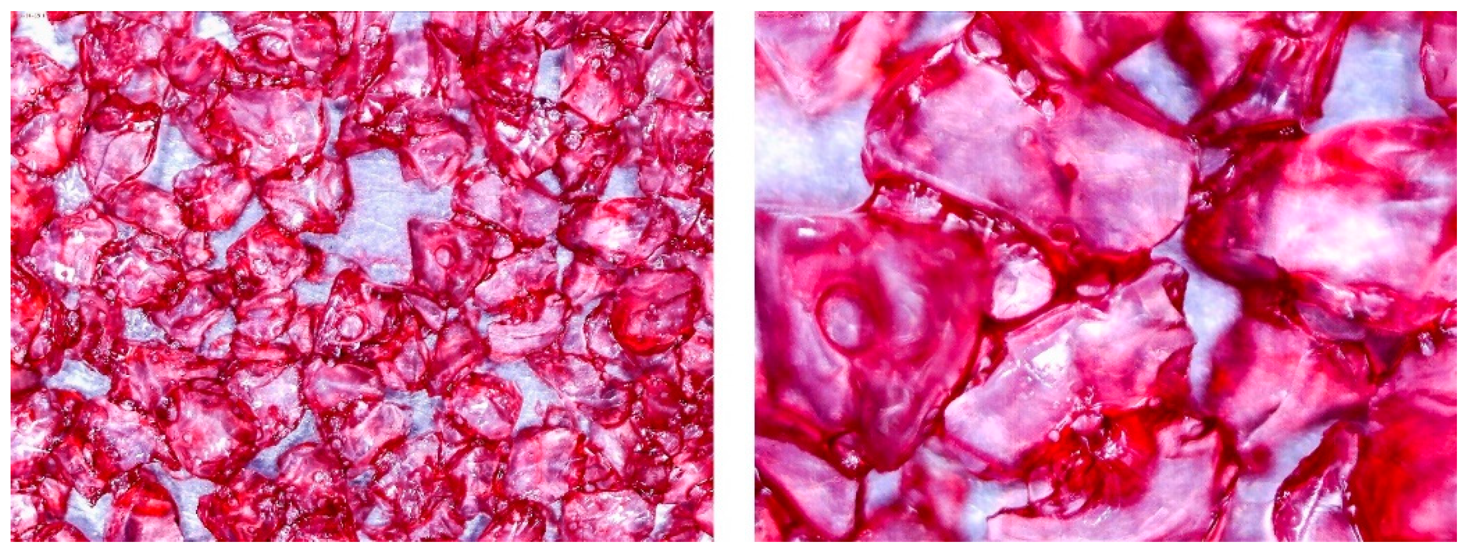 Entropy 22 00327 g005