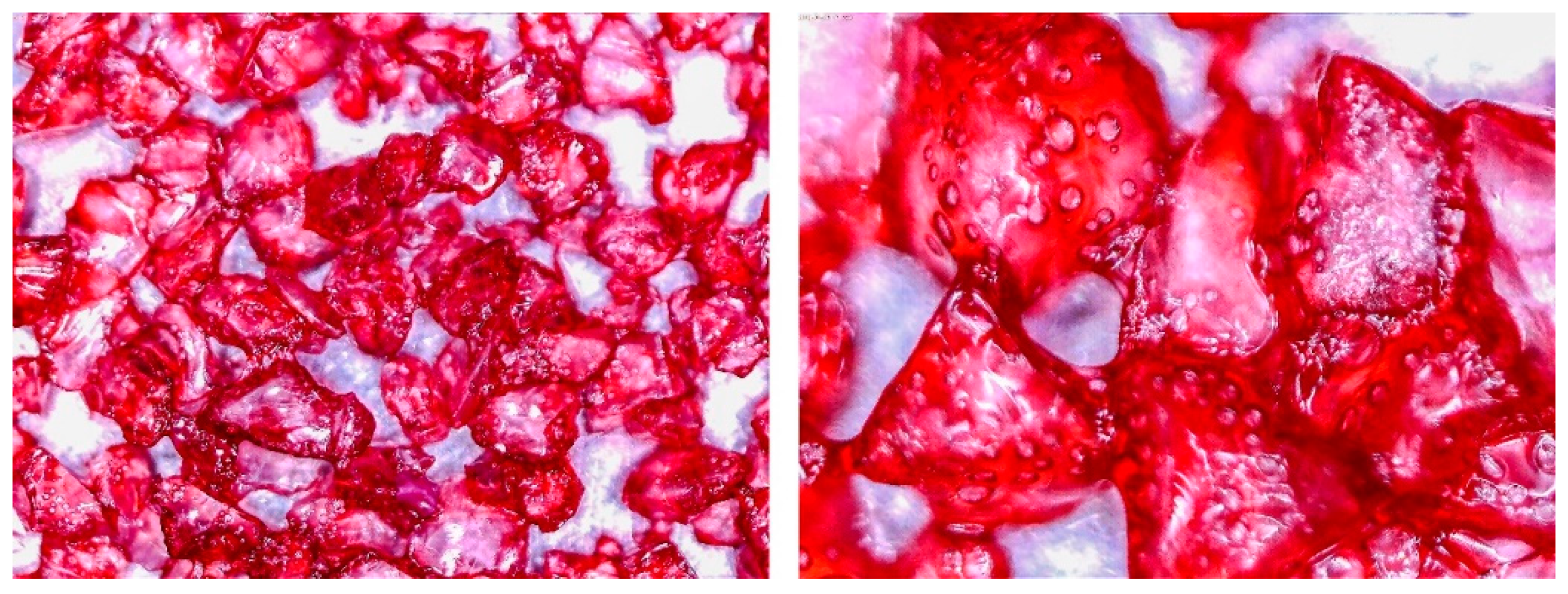 Entropy 22 00327 g007