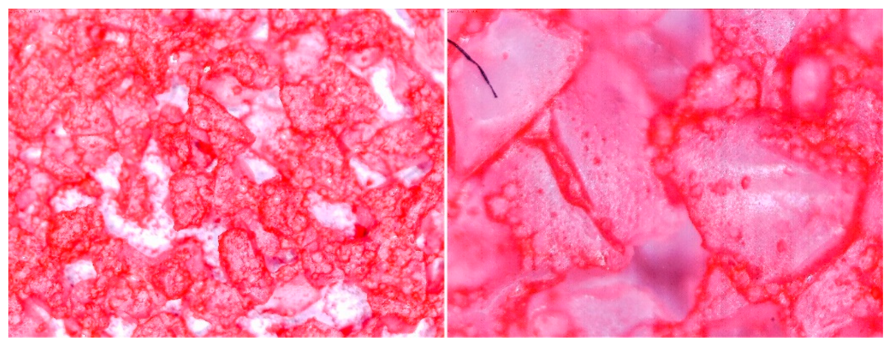 Entropy 22 00327 g008