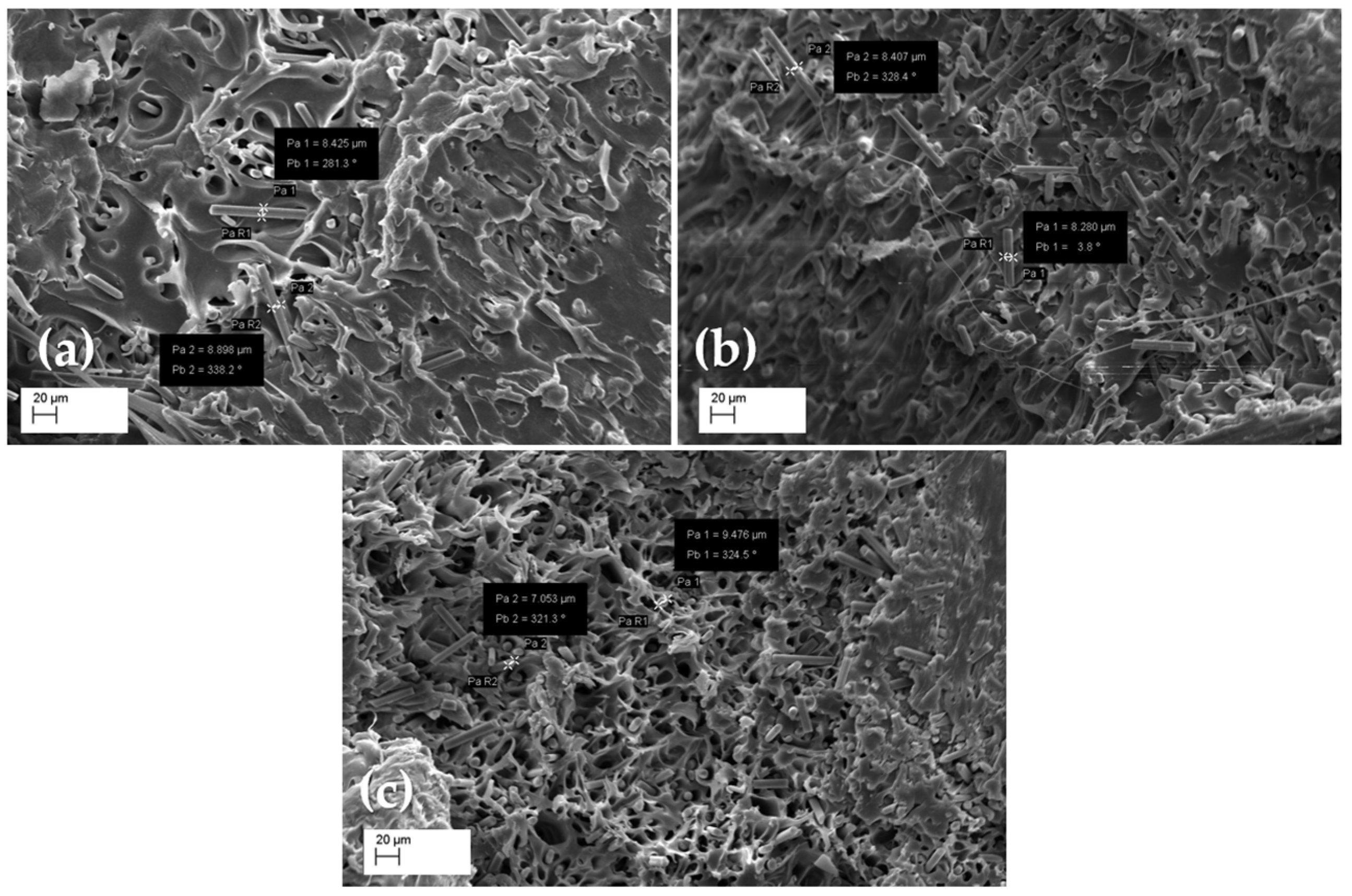 Entropy 24 00654 g008
