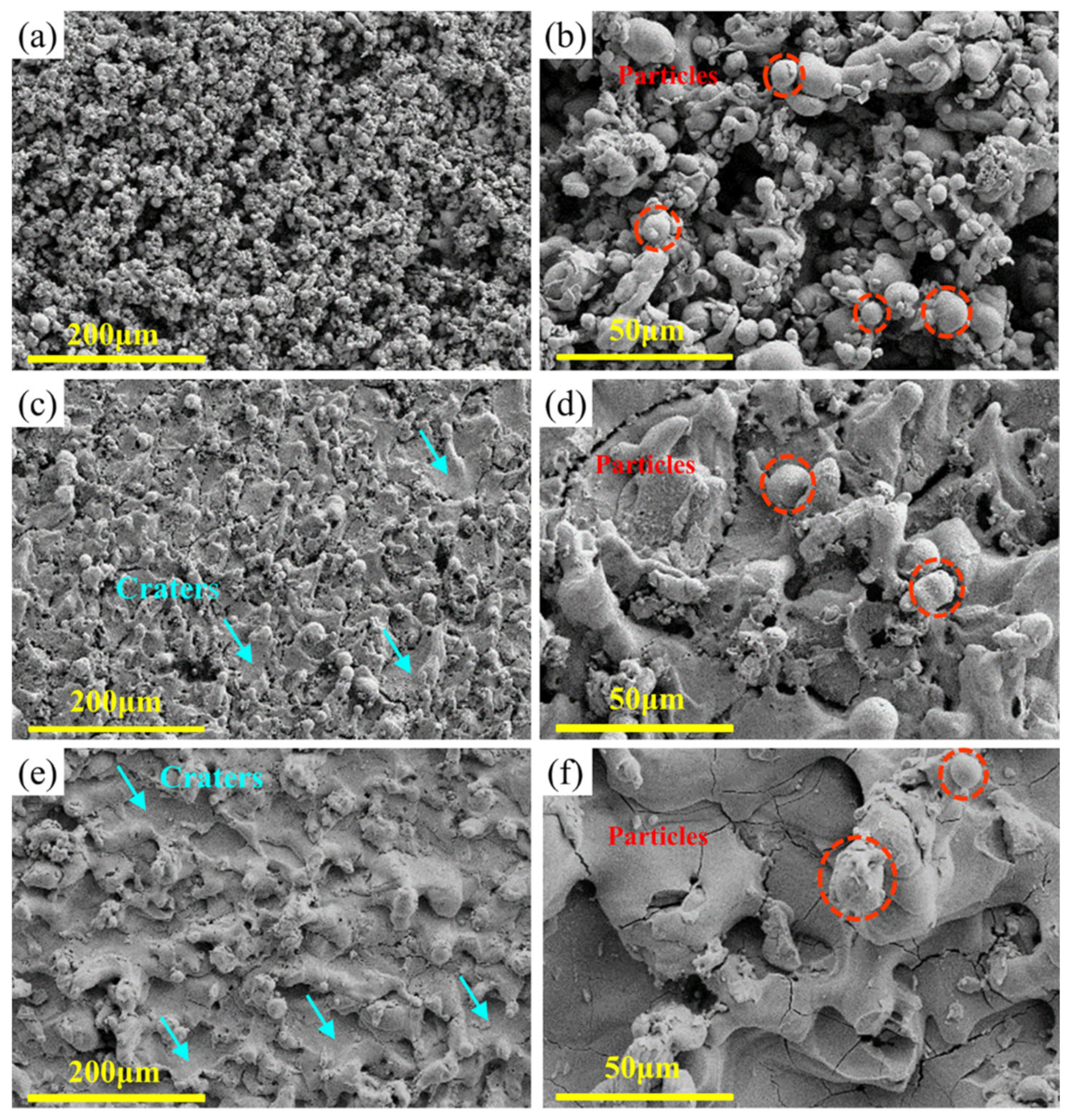 Entropy 24 01796 g009