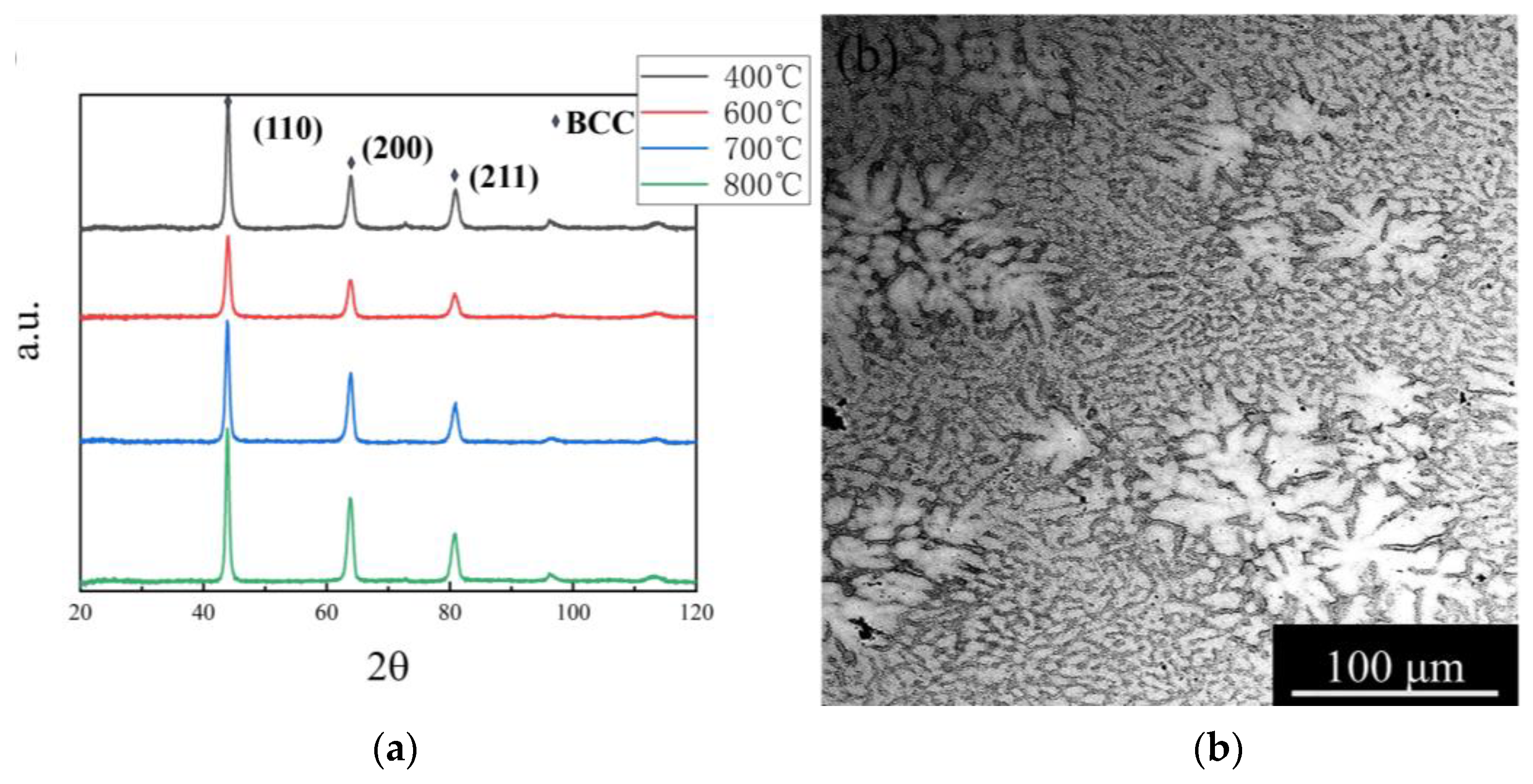 Entropy 25 01124 g001