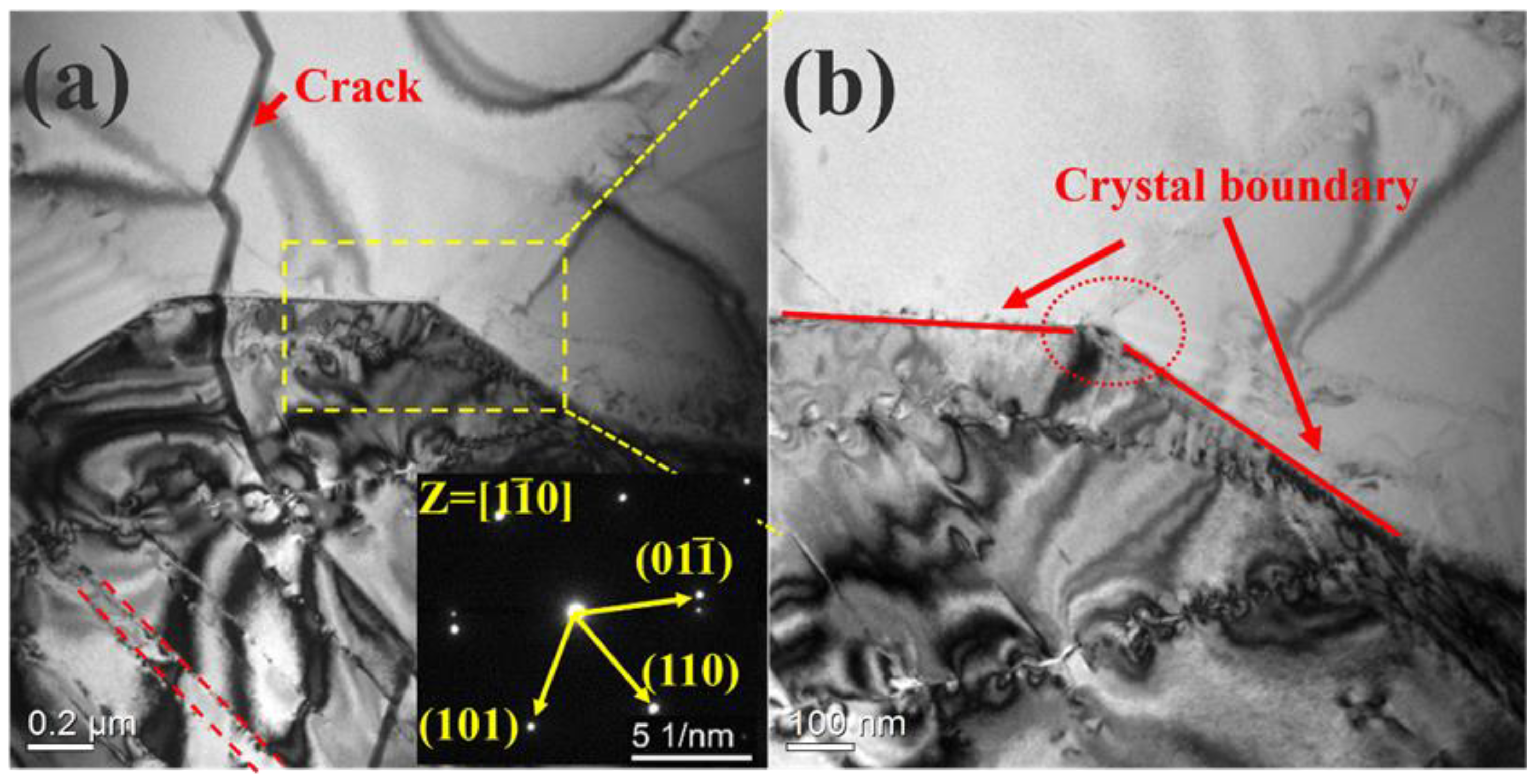 Entropy 25 01124 g002