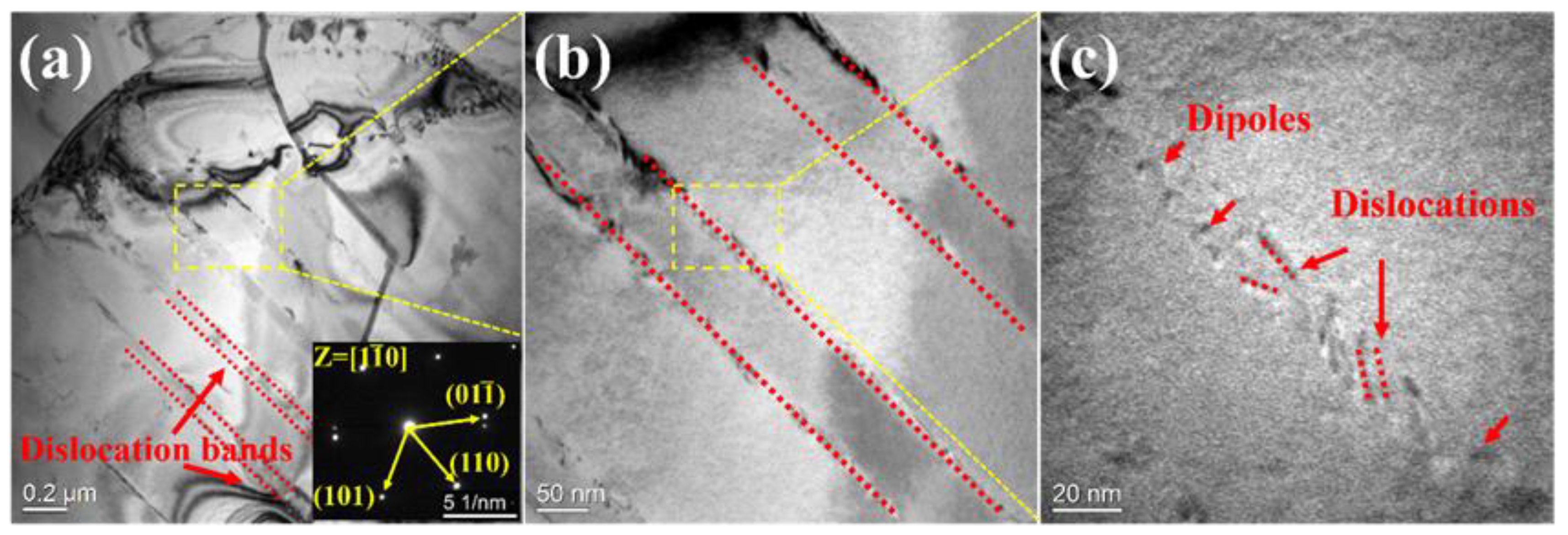 Entropy 25 01124 g005