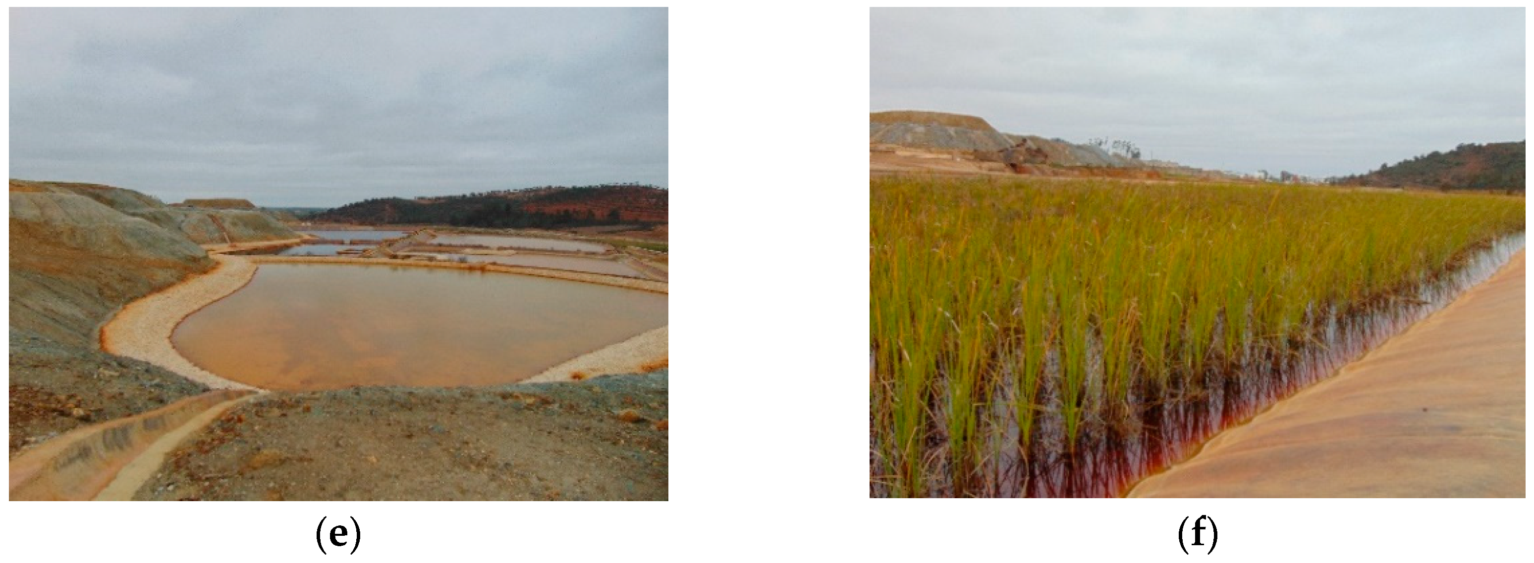 Environments 09 00011 g002b