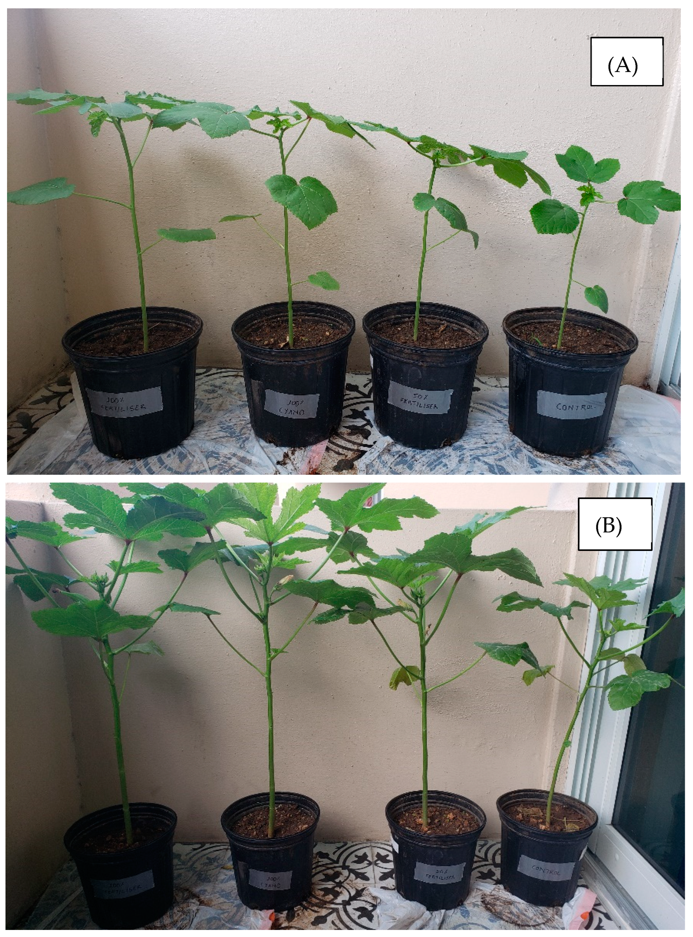 Environments 11 00045 g004