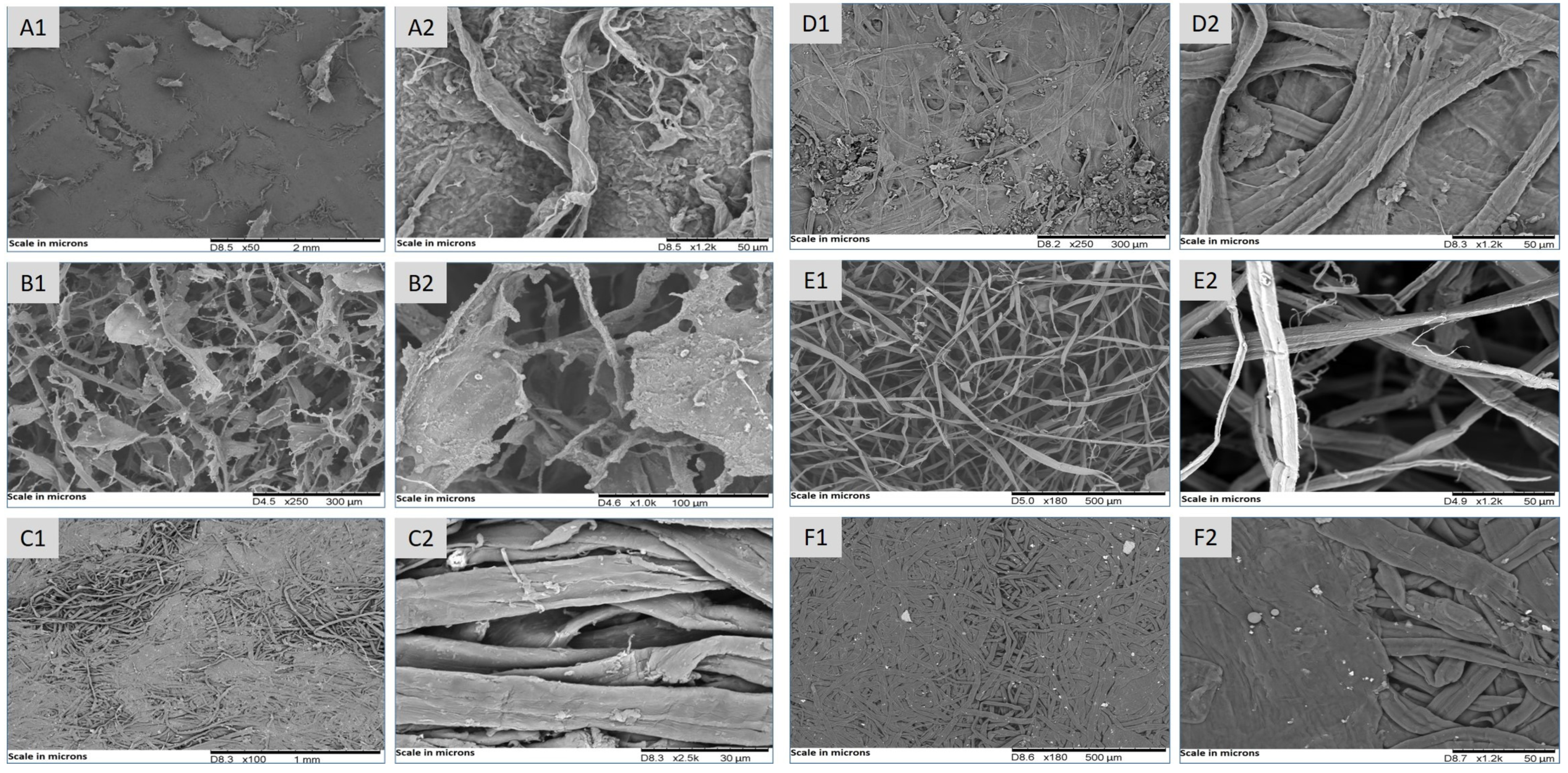 Environments 11 00050 g008