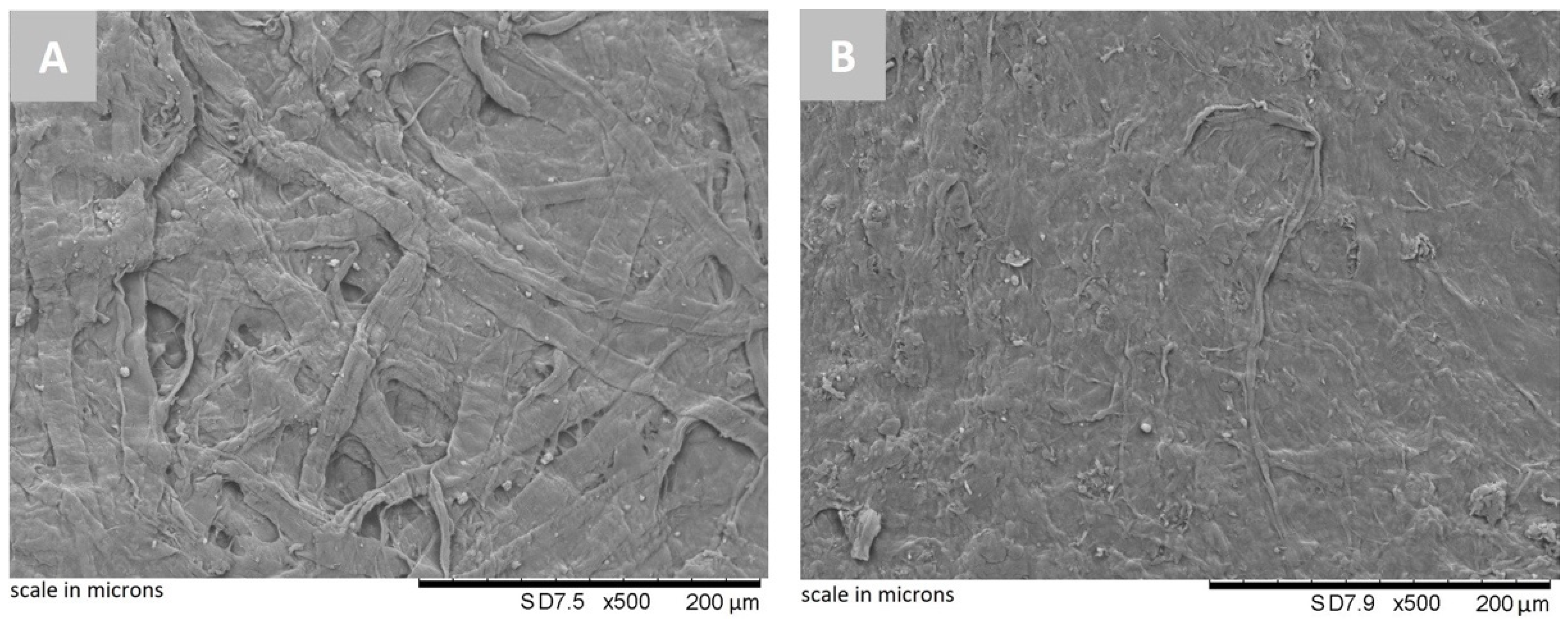 Environments 11 00050 g009