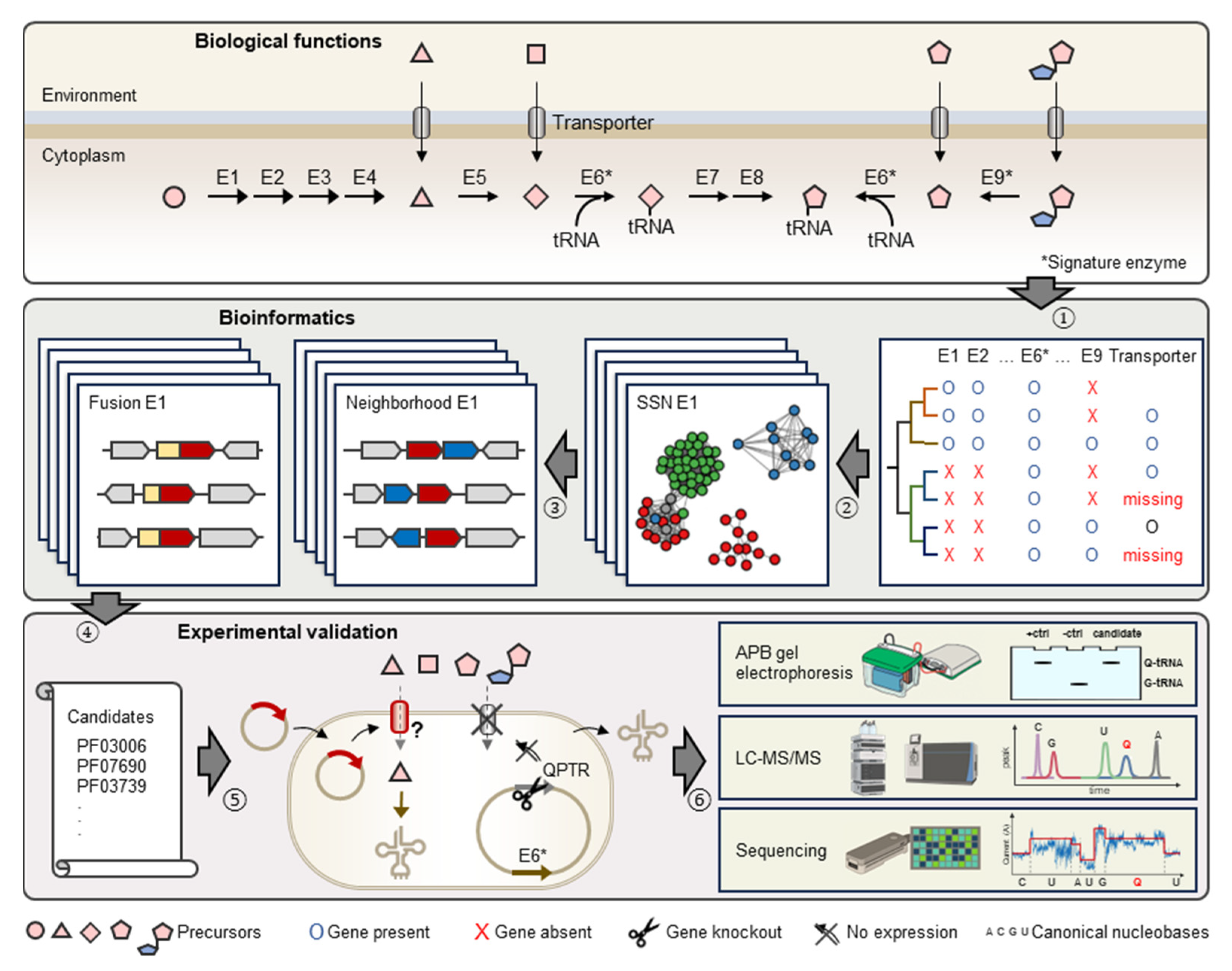 Epigenomes 08 00016 g002