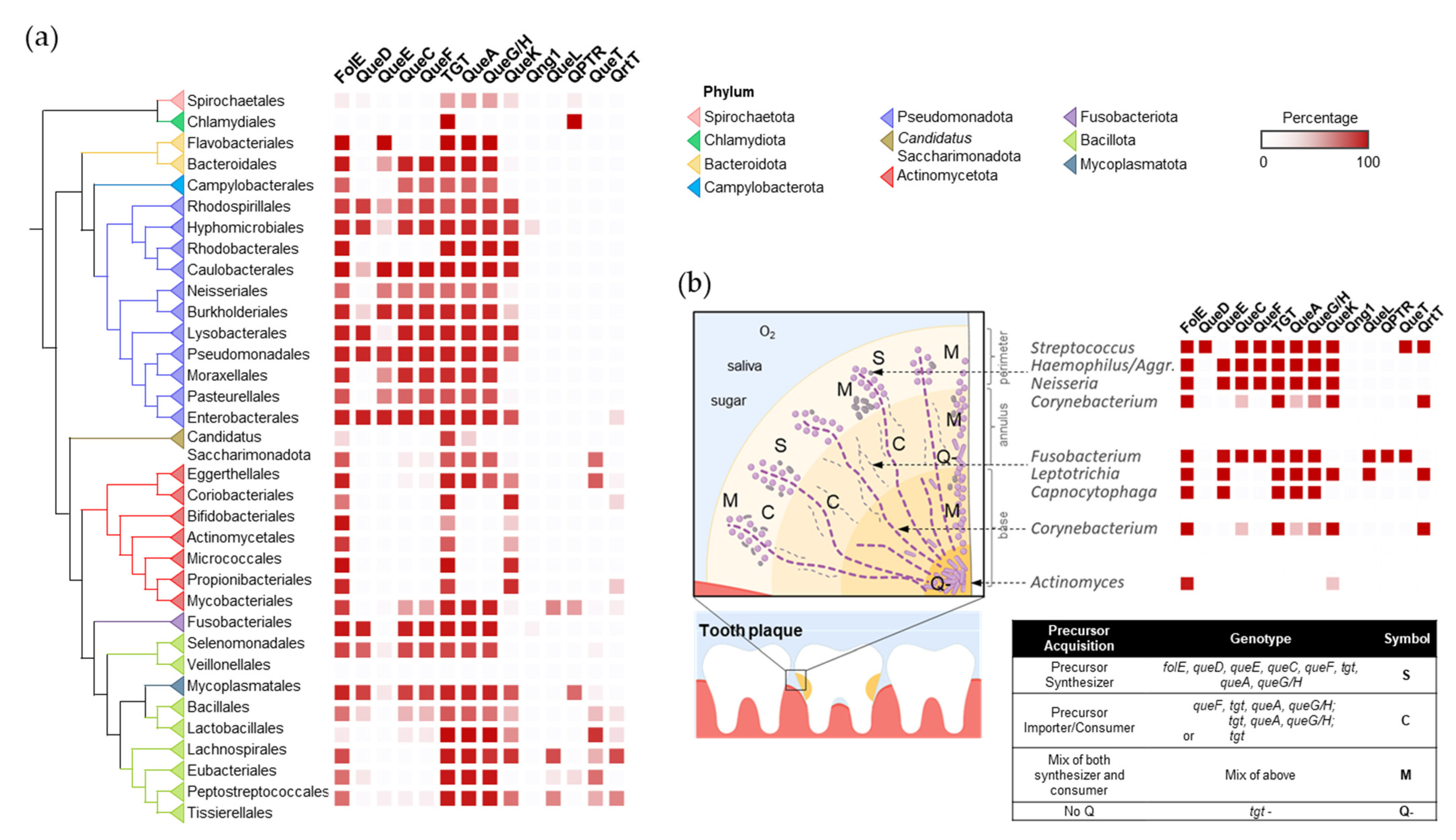 Epigenomes 08 00016 g005