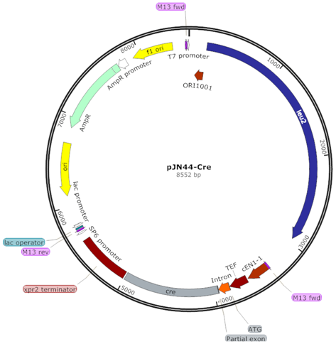 Fermentation 03 00040 i001