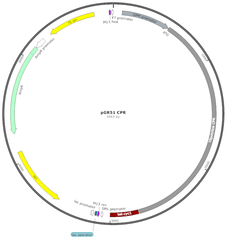 Fermentation 03 00040 i003