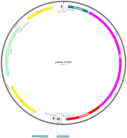 Fermentation 03 00040 i004