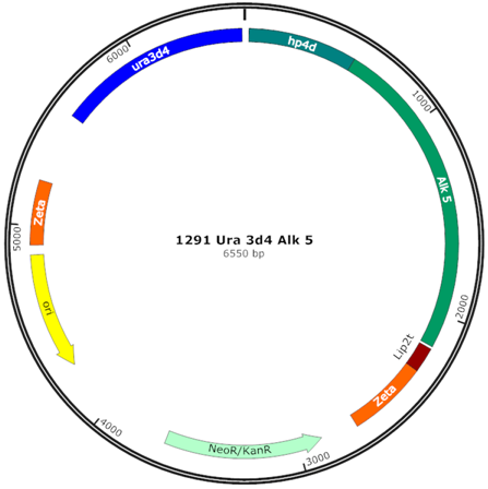 Fermentation 03 00040 i007