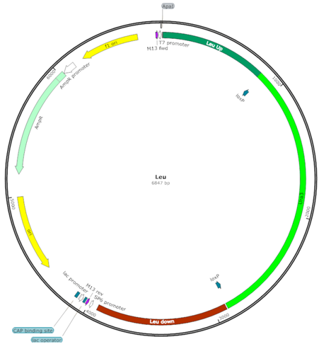 Fermentation 03 00040 i008