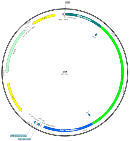 Fermentation 03 00040 i009