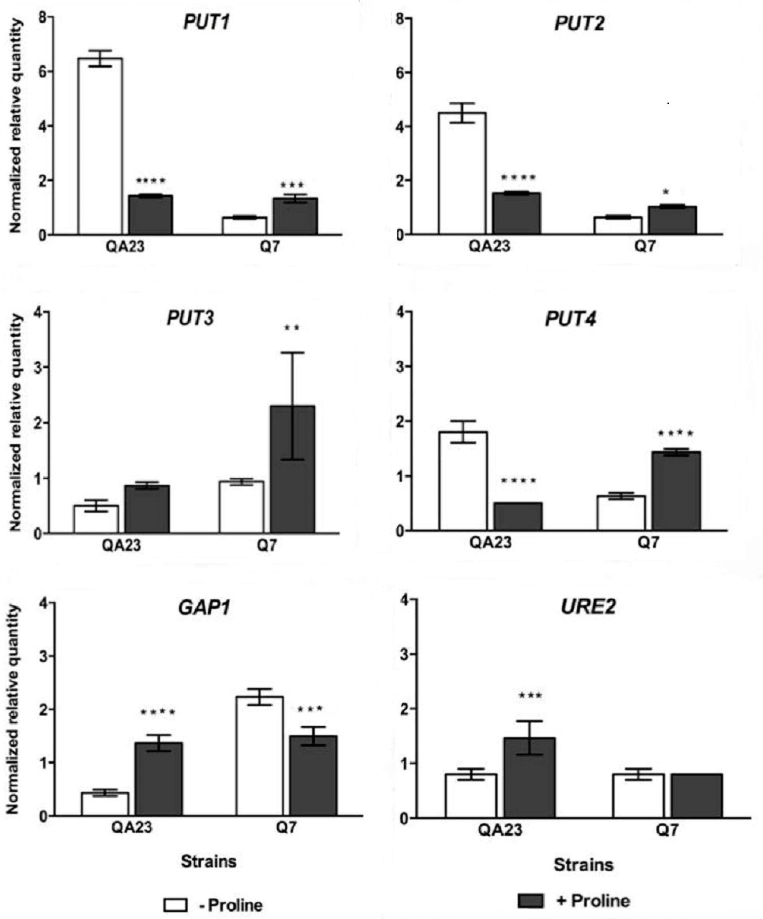 Fermentation 04 00010 g005