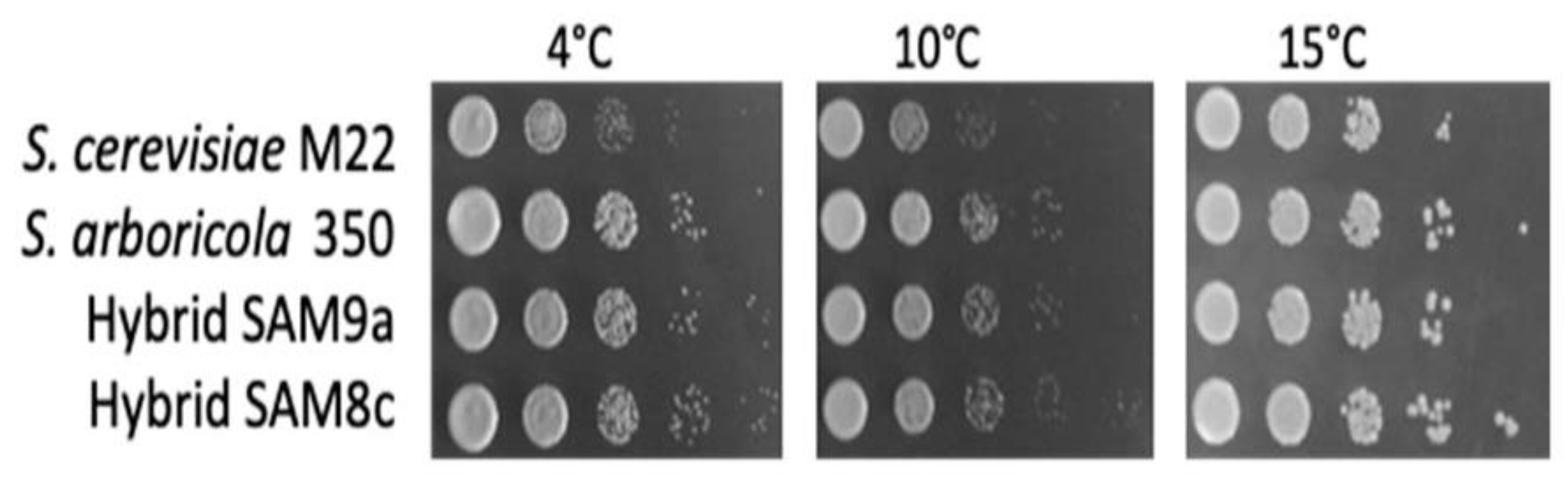 Fermentation 06 00014 g002 Fermentation 06 00014 g002
