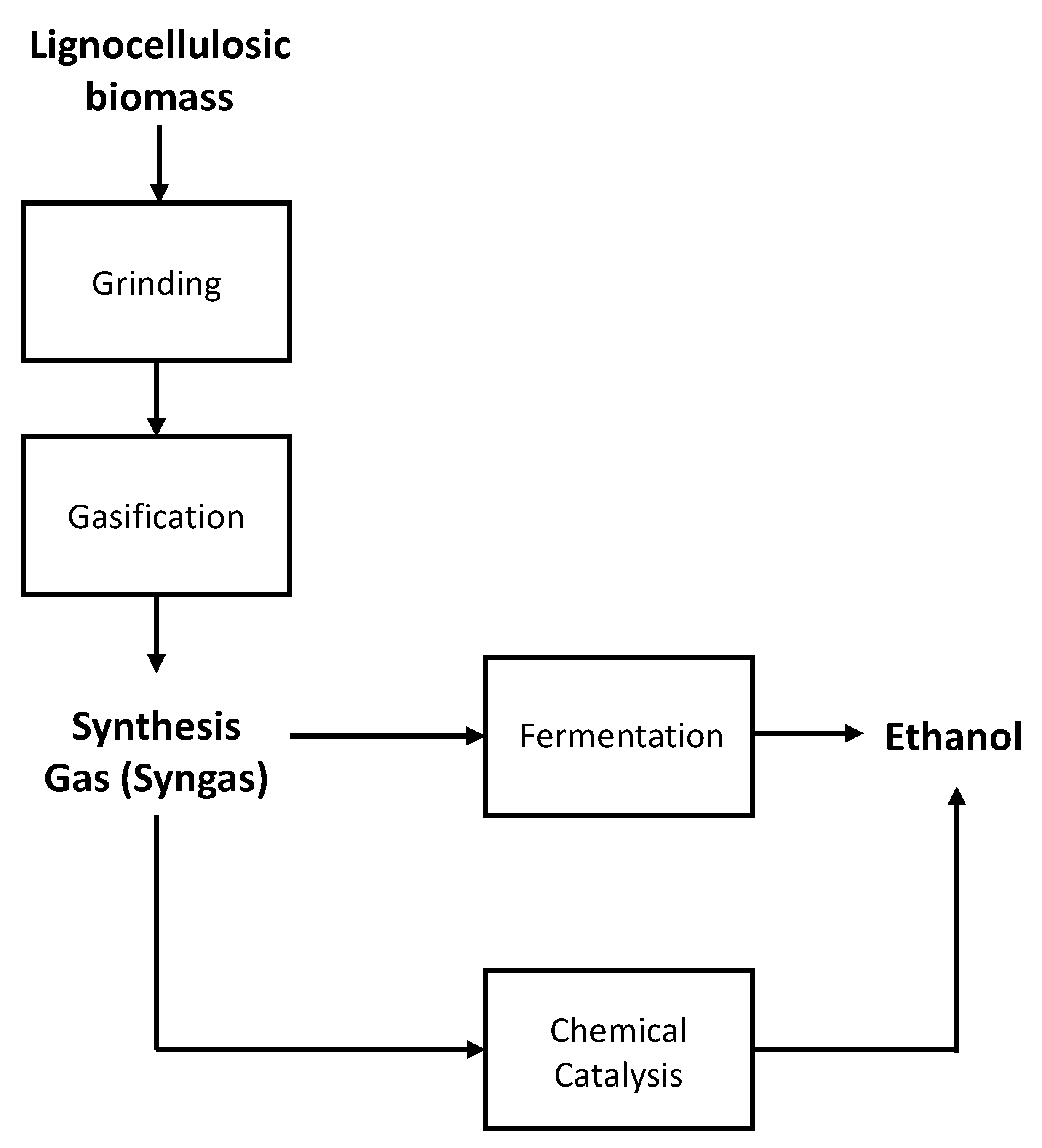 Fermentation 07 00314 g004